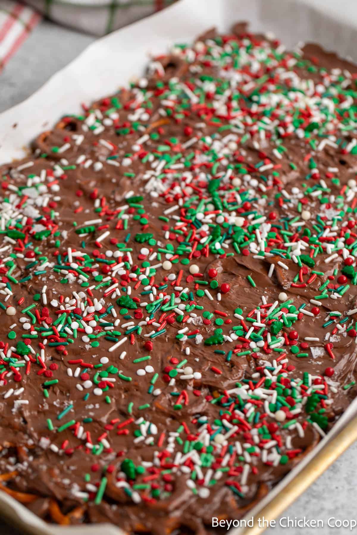 Chocolate bark with sprinkles. 