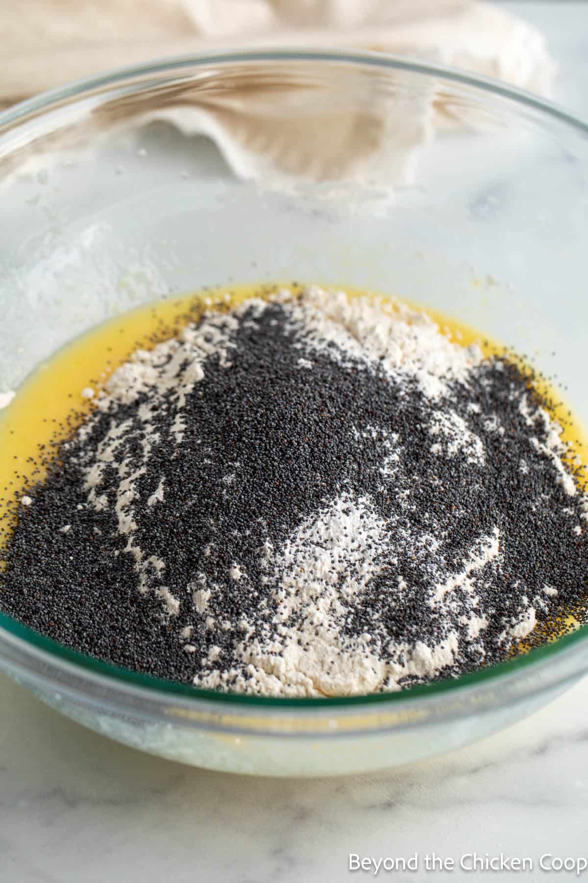 Poppy seeds sprinkled over flour in a bowl with eggs. 