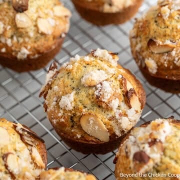 Almond Poppy Seed Muffins on a baking rack.