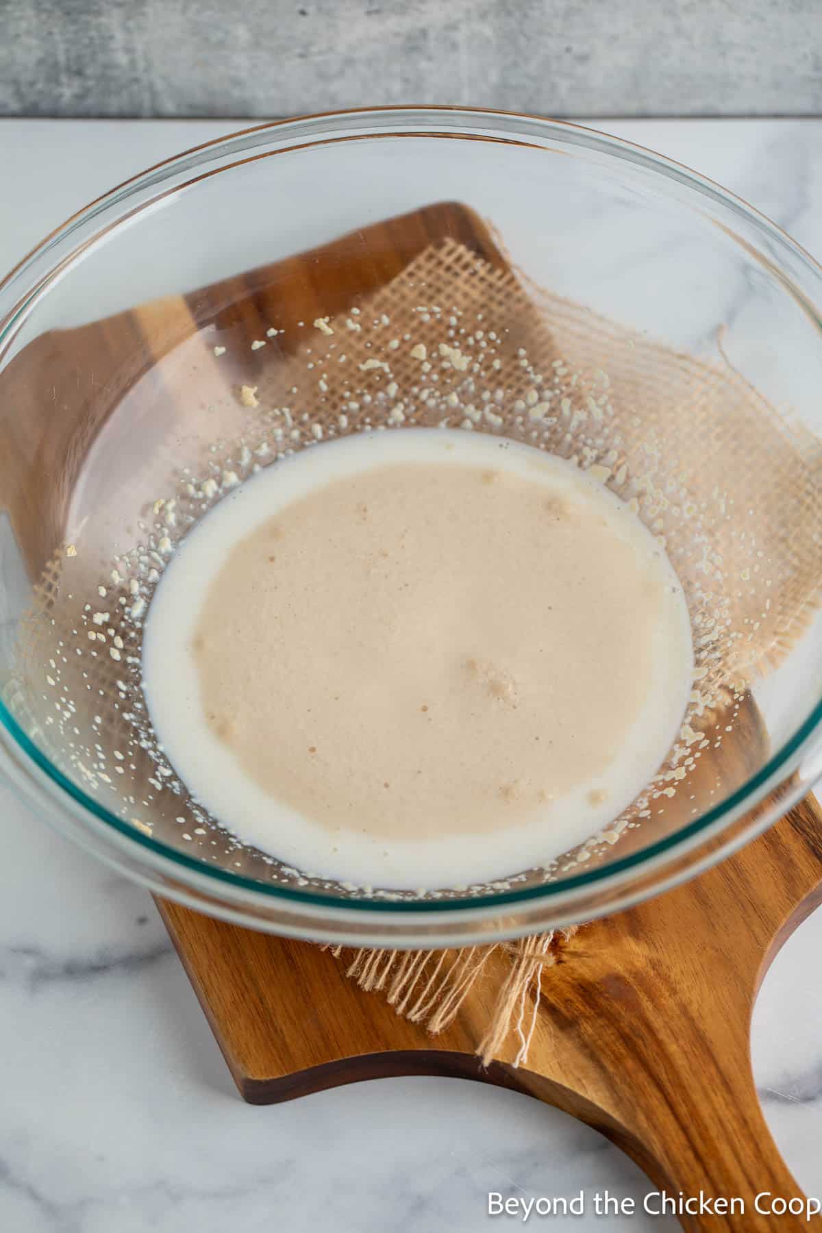 Activated yeast in a large bowl. 
