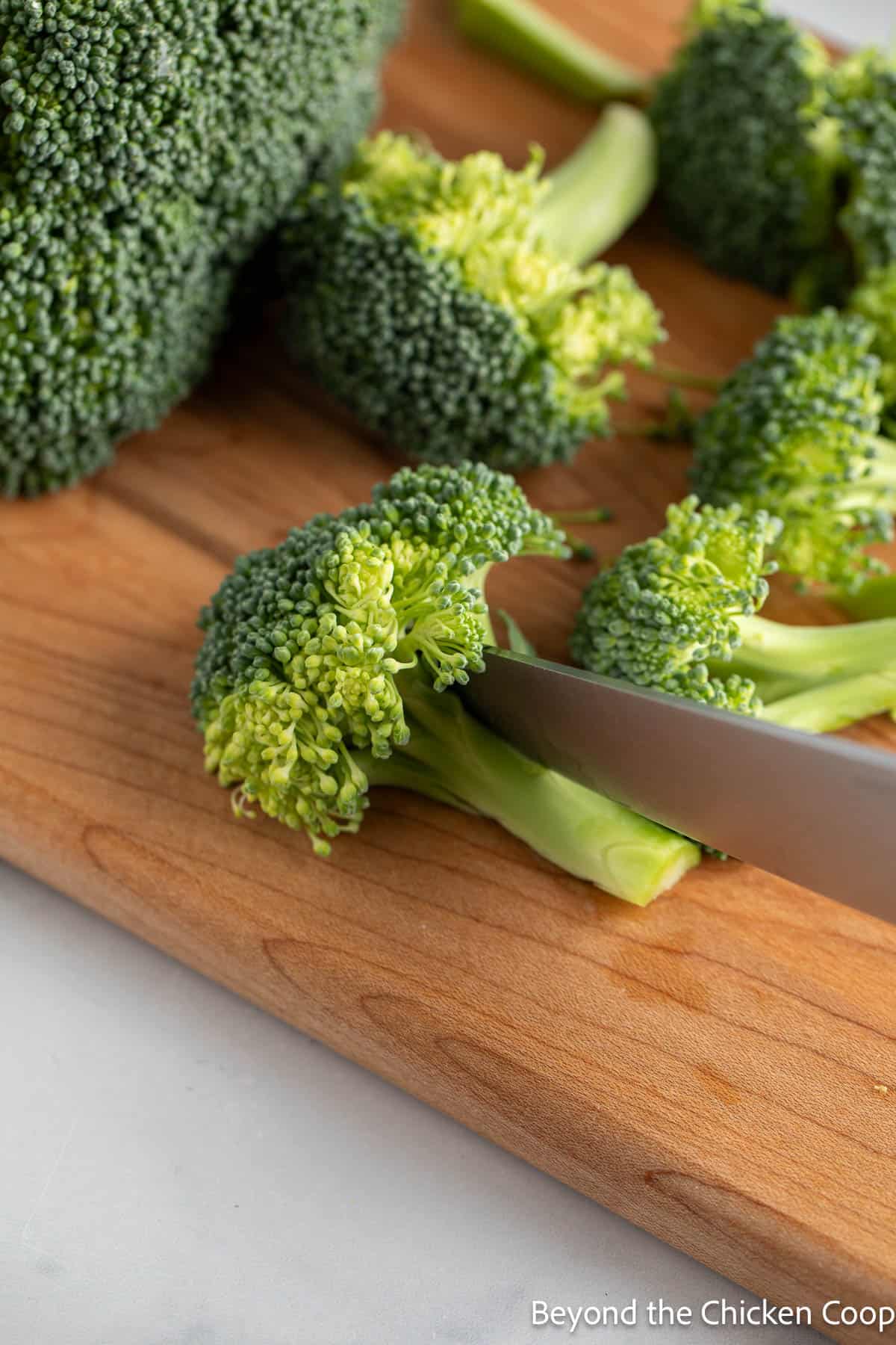 Chopping broccoli into bite-sized pieces. 