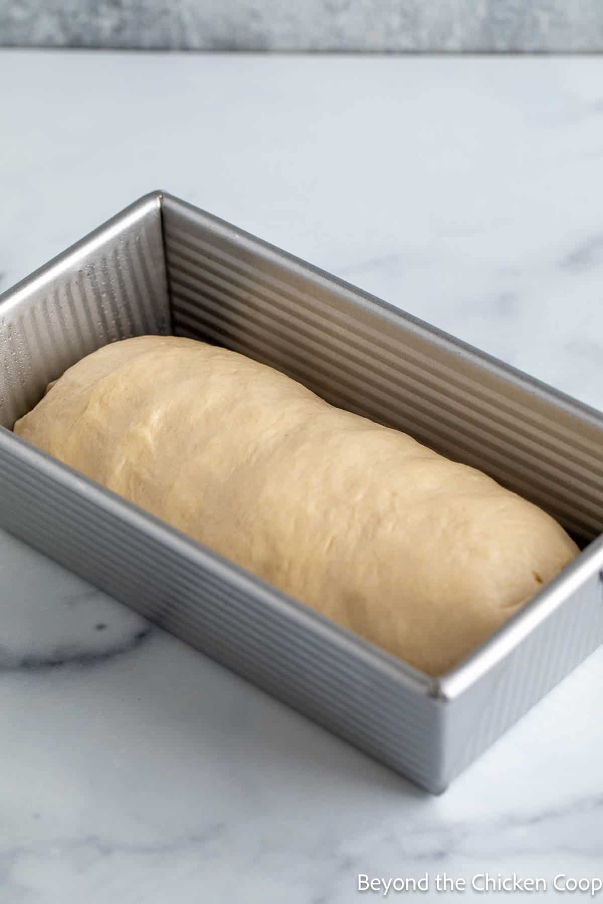 Bread dough in a loaf pan. 
