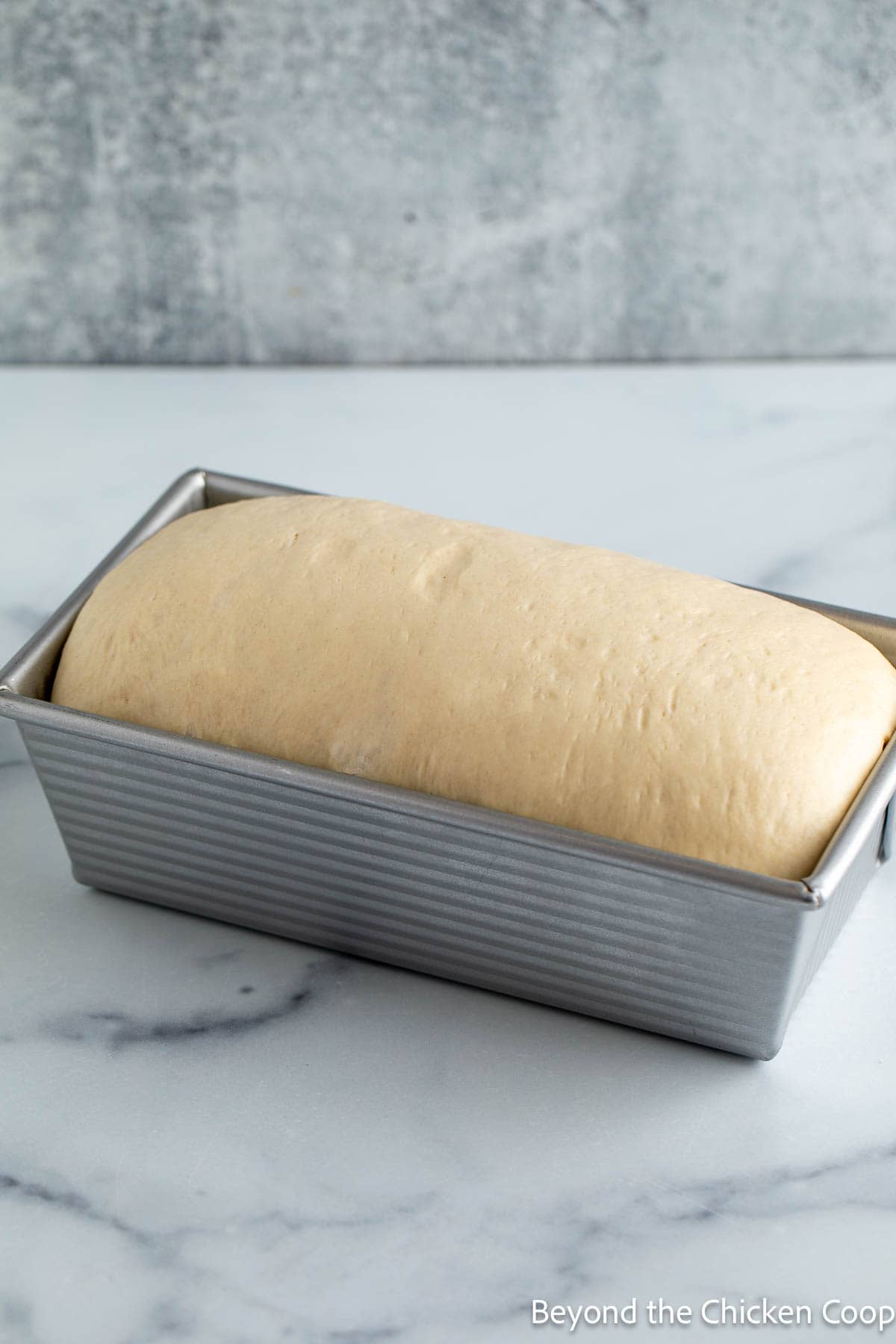 Bread dough in a loaf pan.