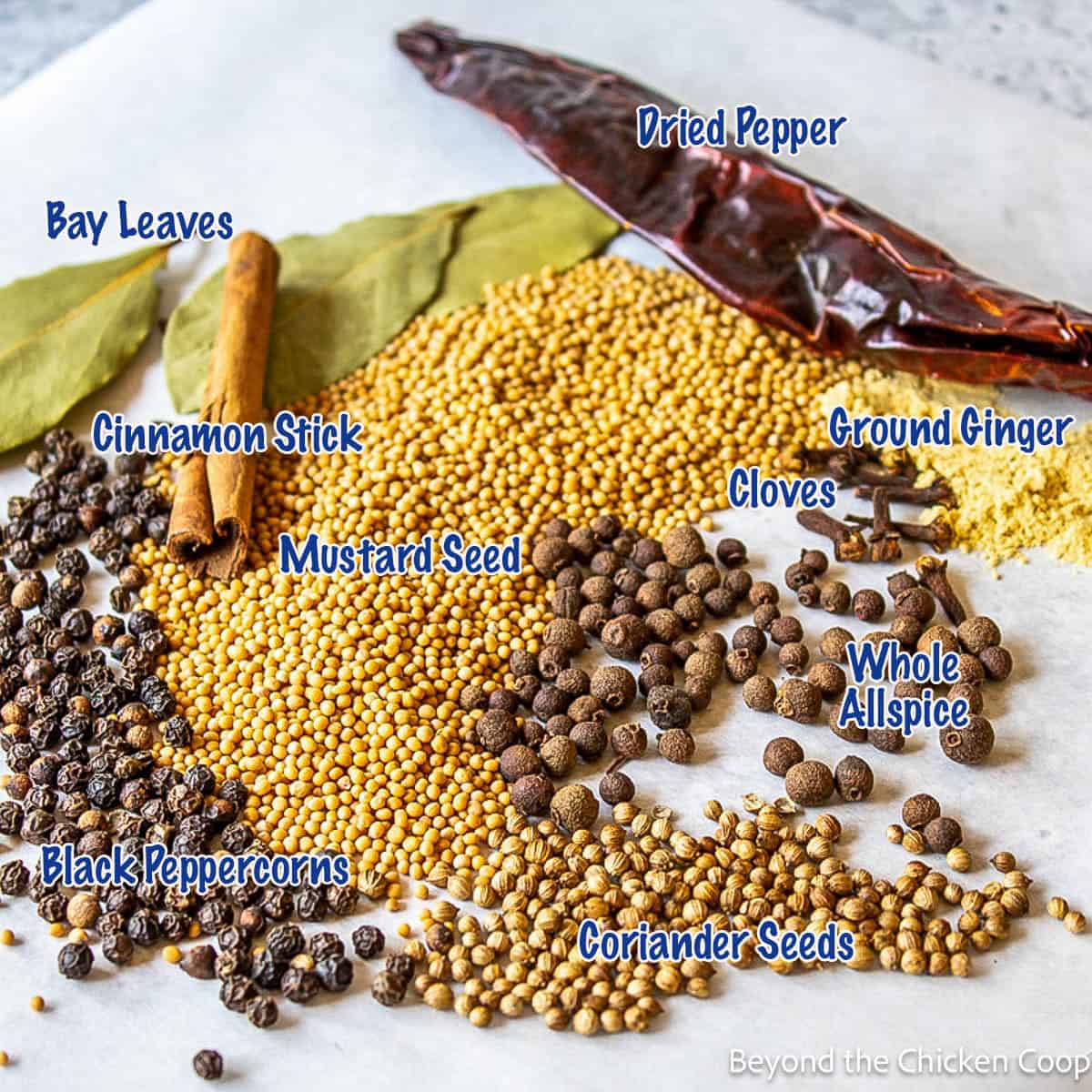 Spices for making homemade pickling spice. 