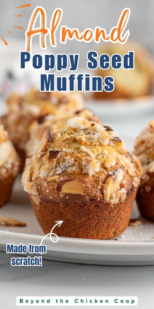 Muffins topped with sliced almonds and sugar on a white plate.