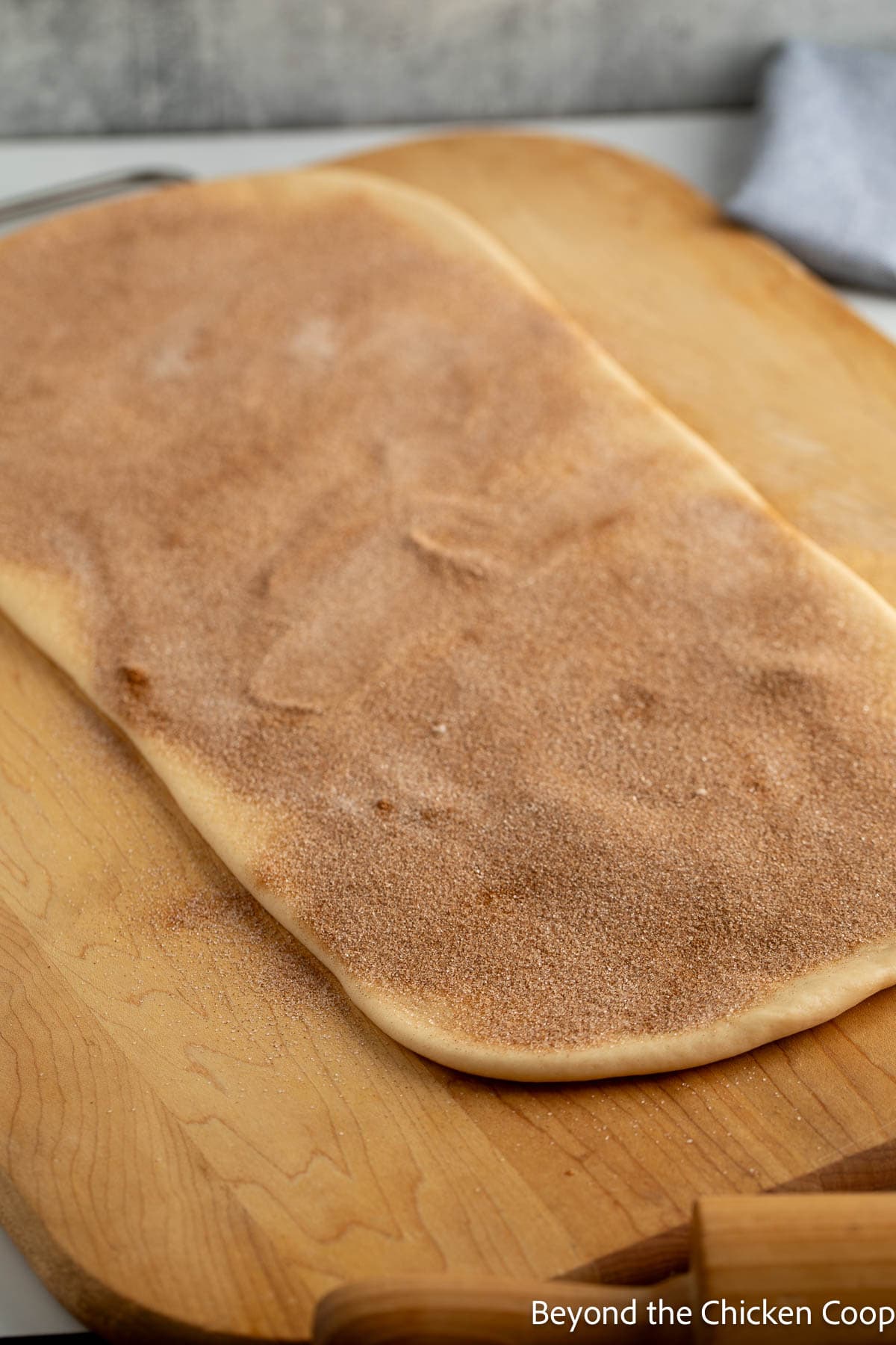 Dough topped with cinnamon and sugar. 