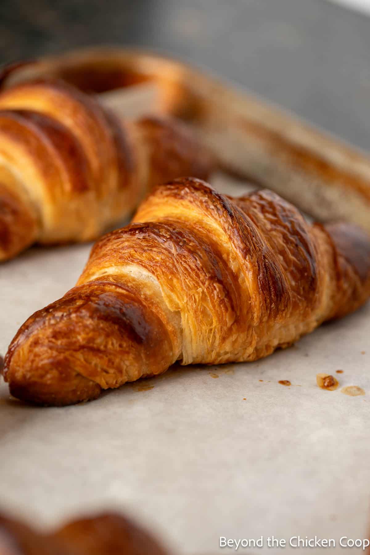 Baked croissants on a baking rack. 