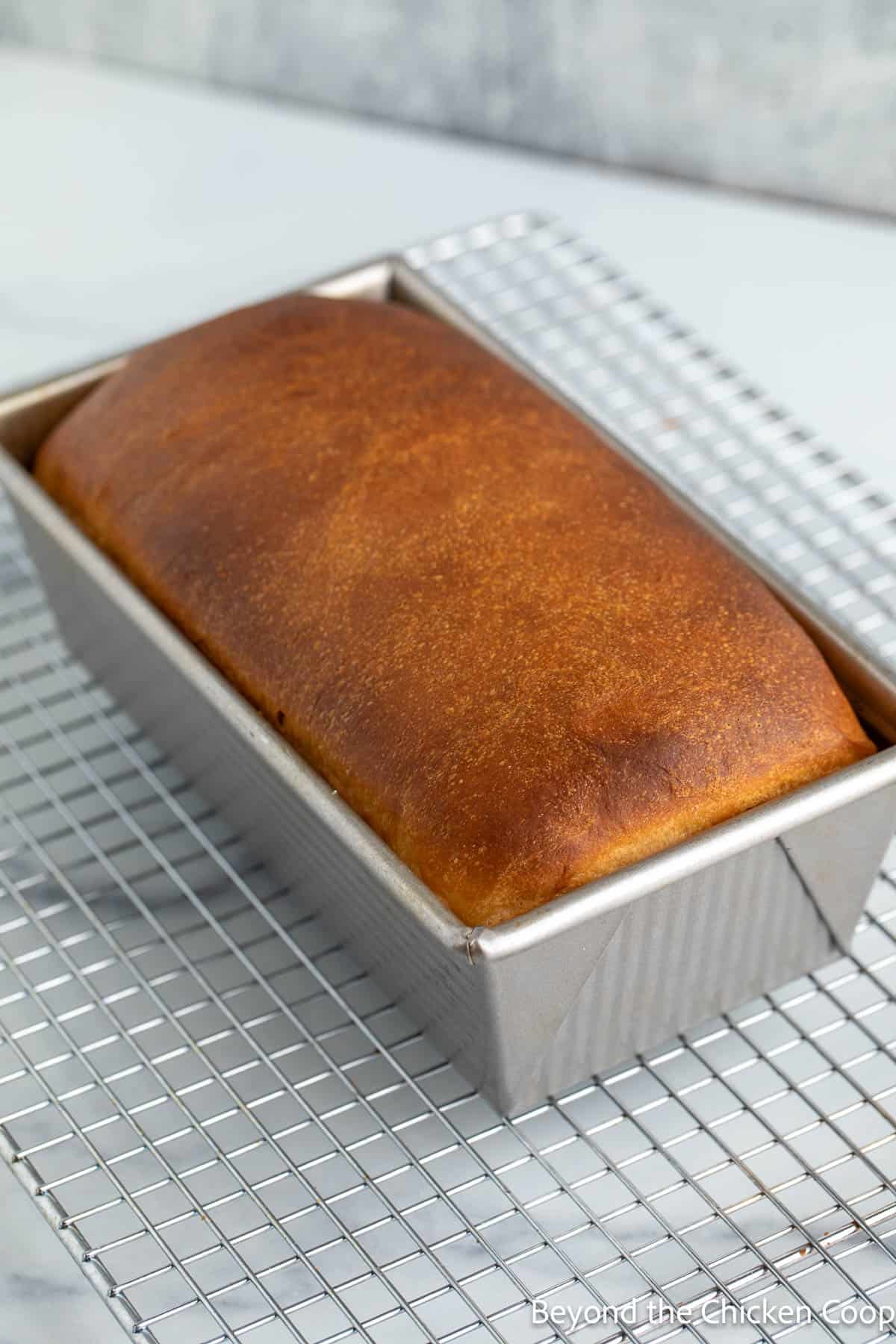 A loaf of baked bread in a bread pan. 