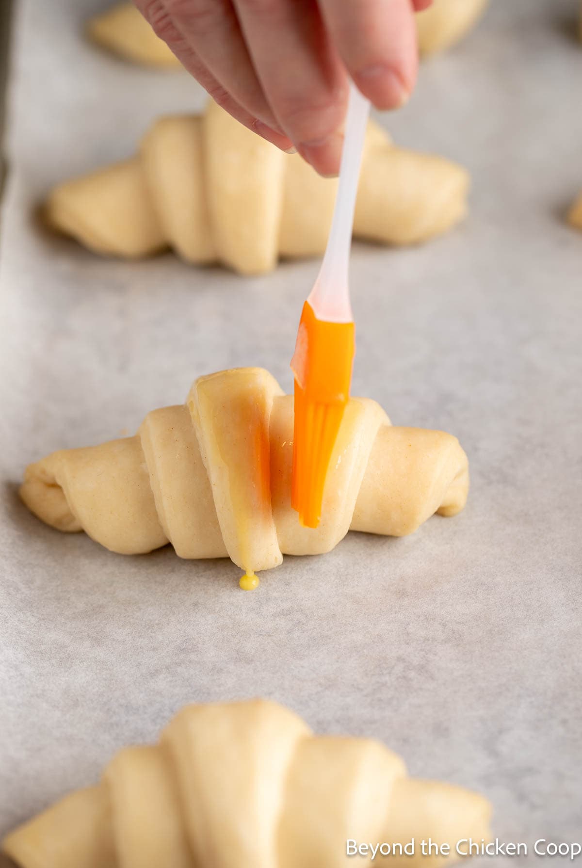 Brushing egg wash on an unbaked croissant. 
