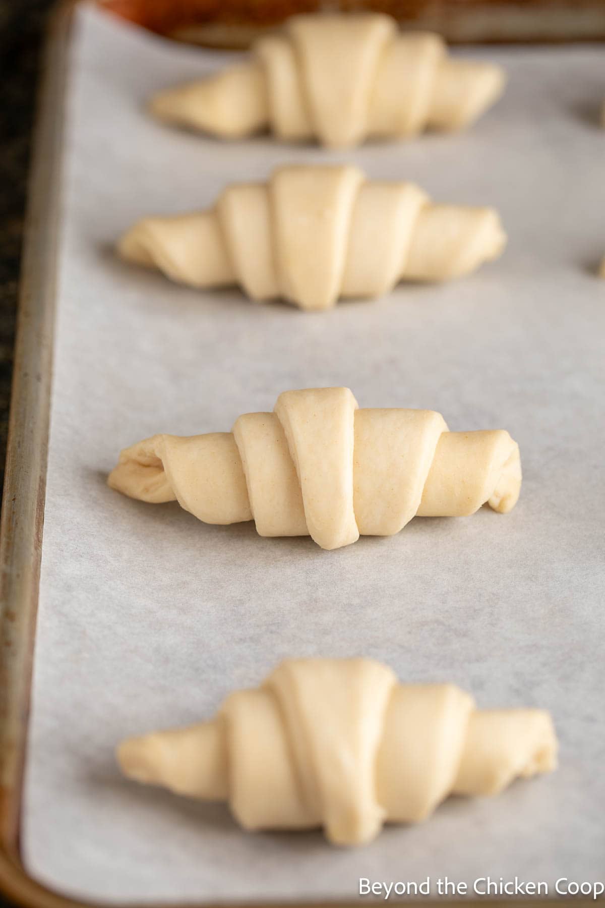 Rolled croissant dough on a baking sheet.
