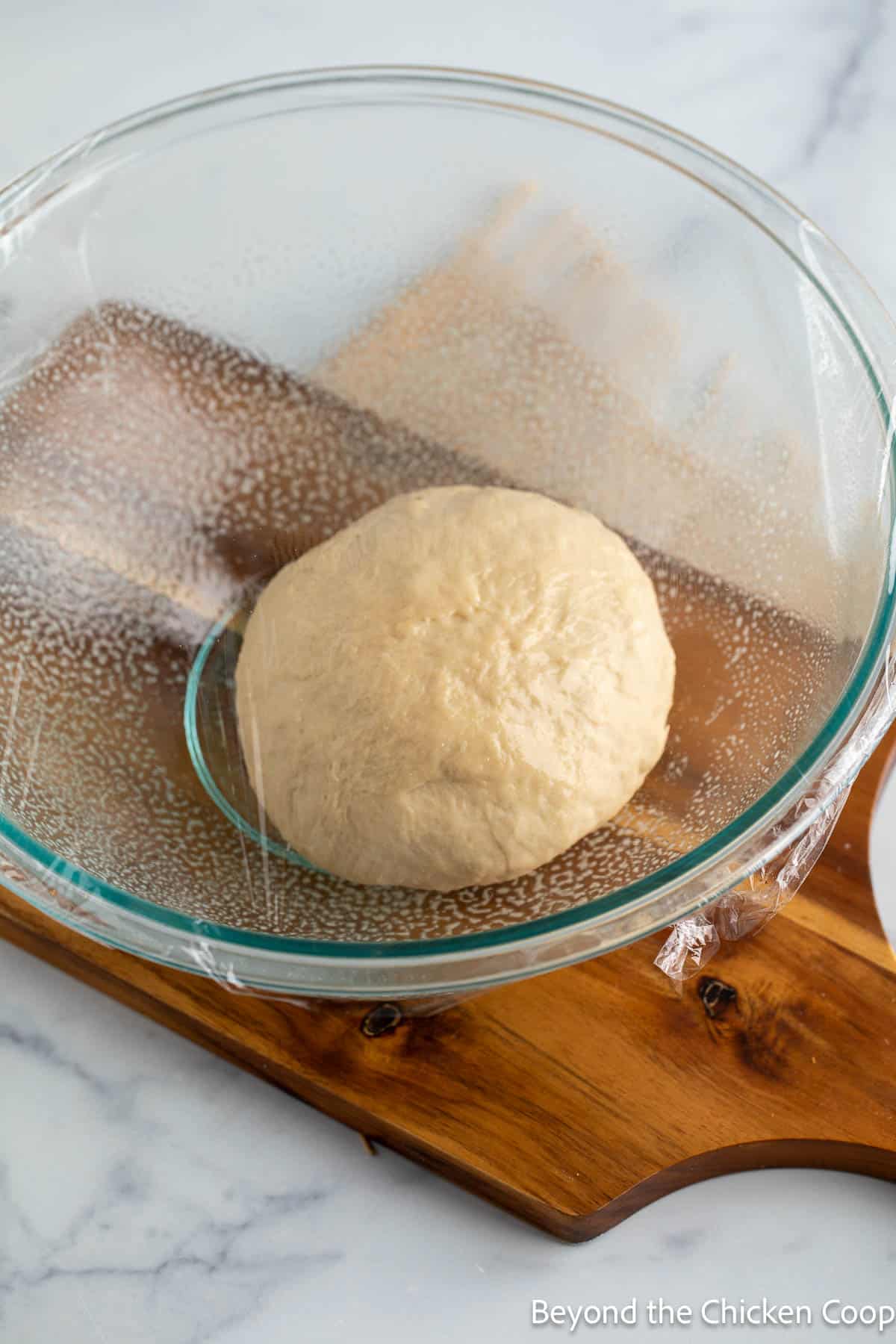 Bread dough in a glass bowl. 