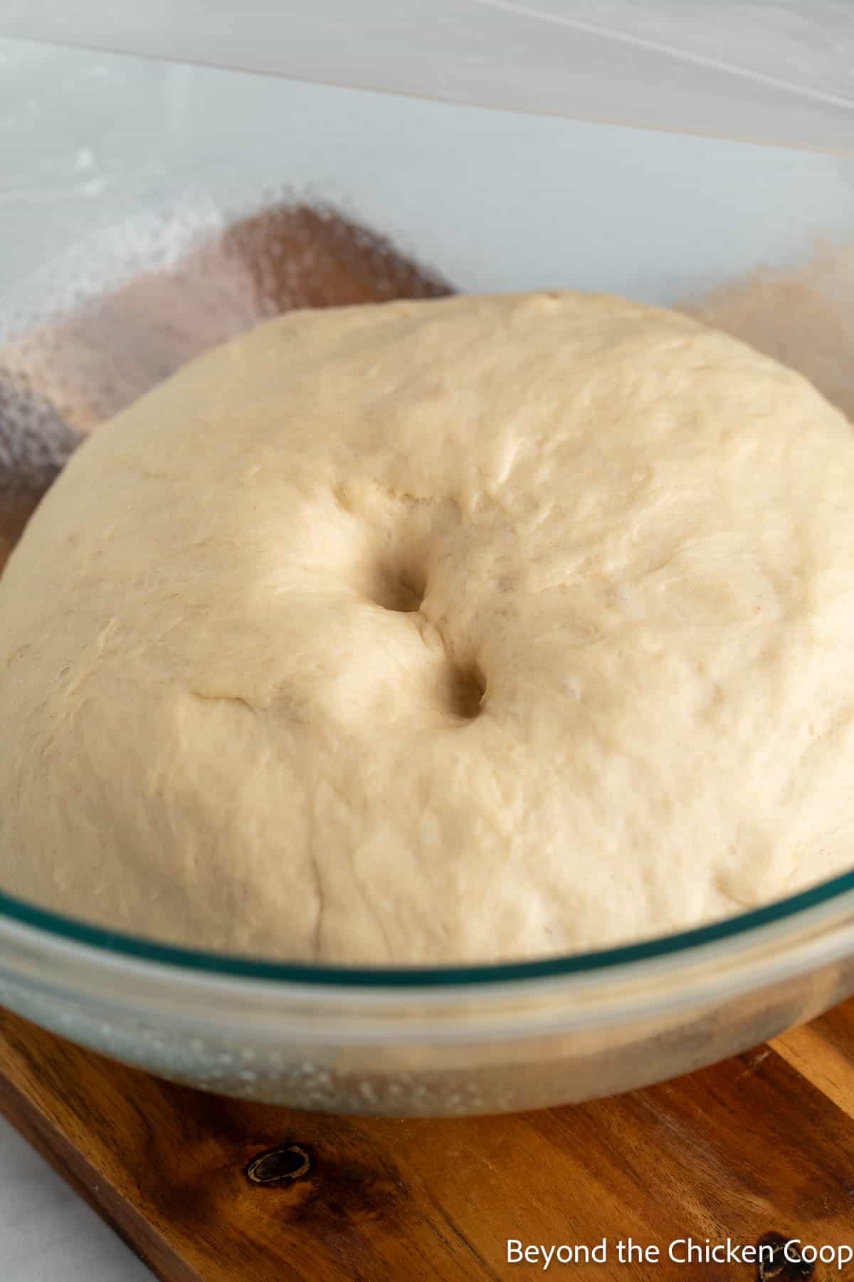 Bread dough doubled in size with two finger holes poked into the dough. 
