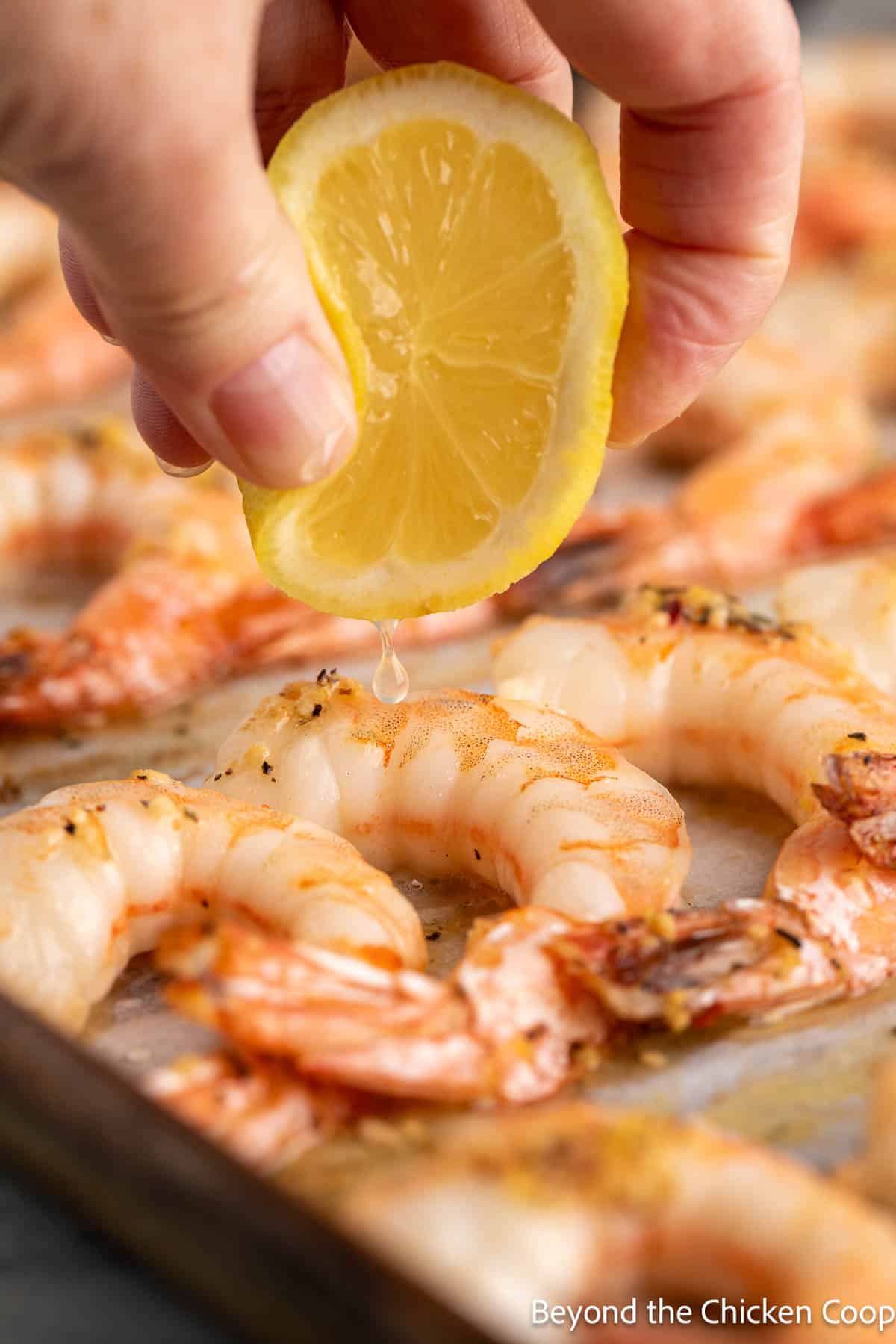 Freshly squeezed lemon on cooked shrimp. 