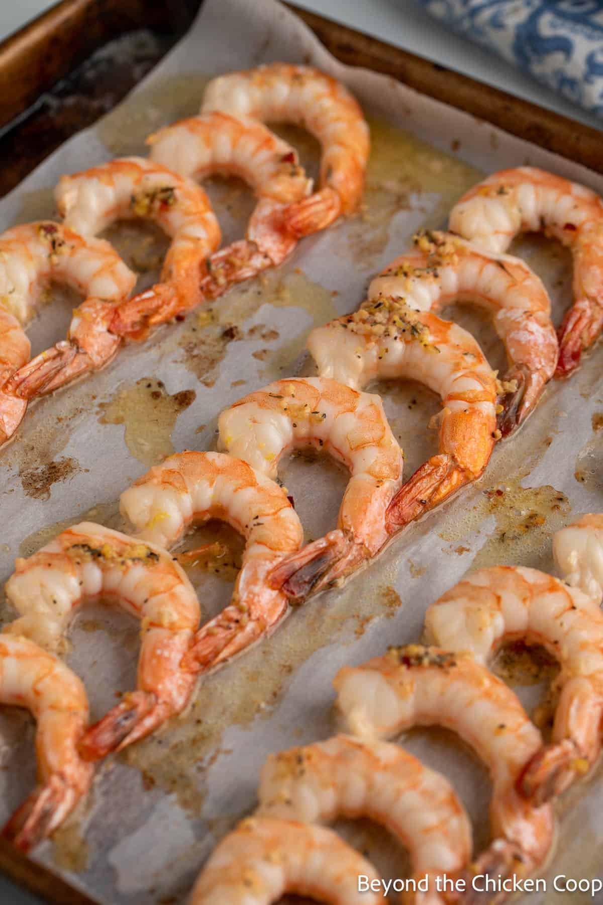 Cooked shrimp on a baking pan. 