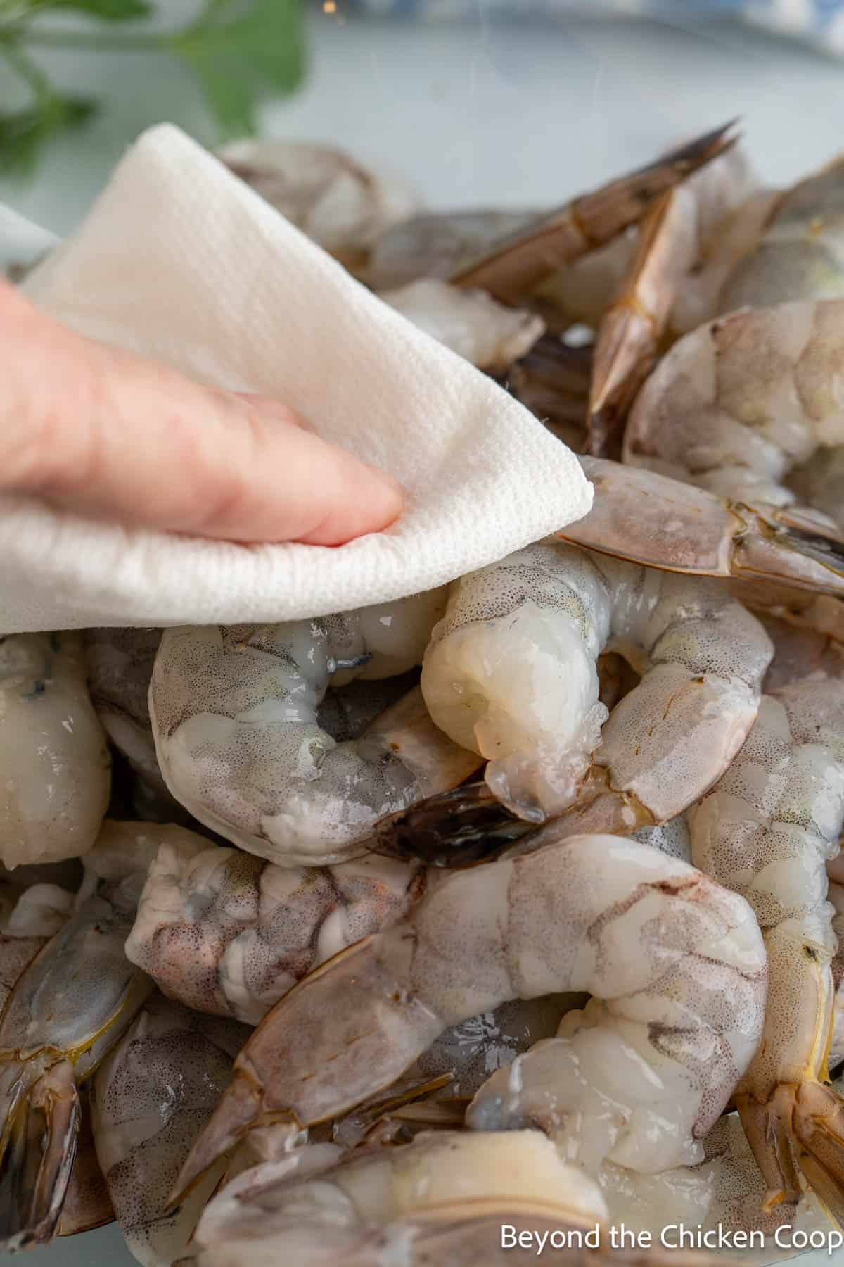 Patting shrimp dry with a paper towel. 