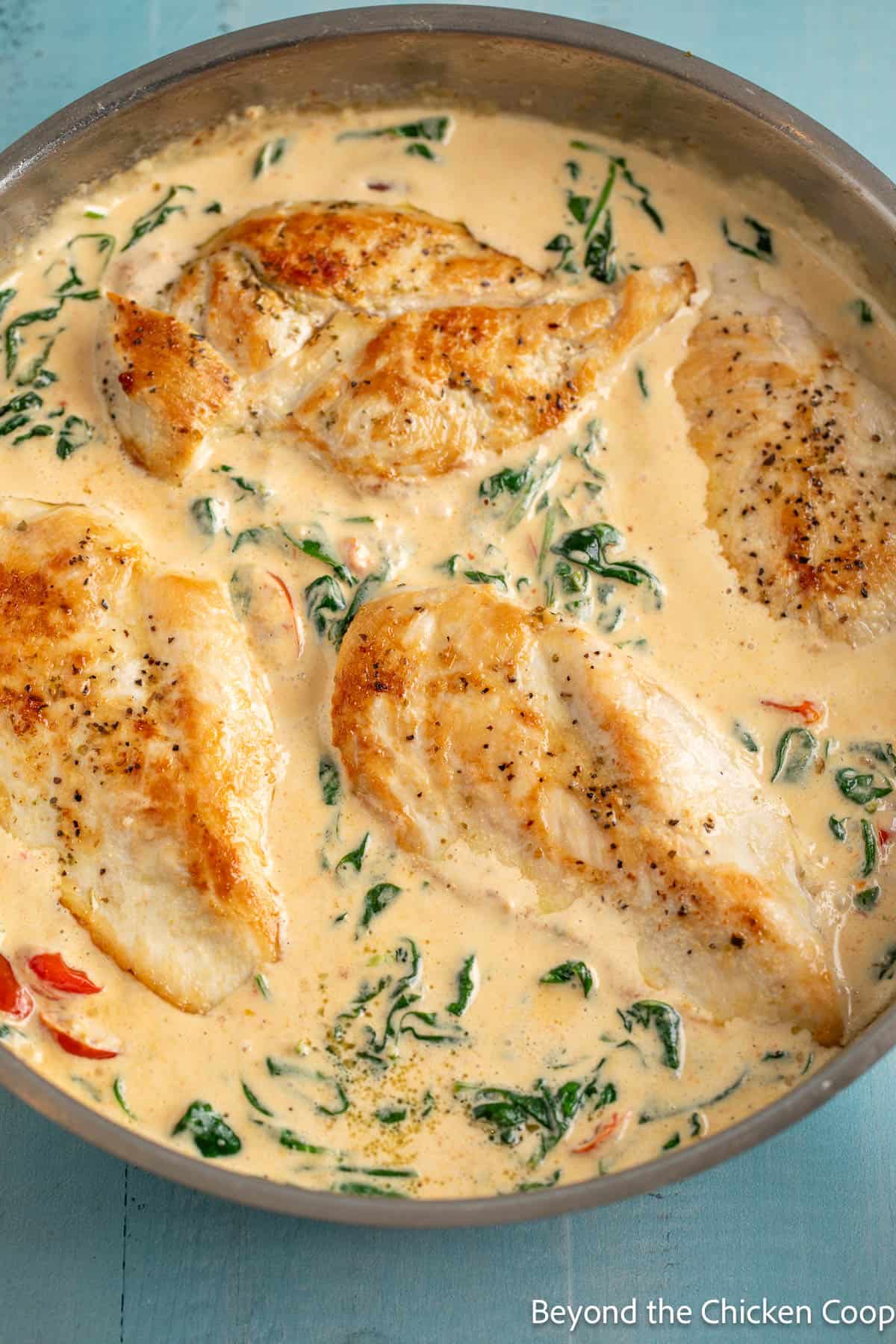 Chicken breasts in a creamy sauce with spinach and tomatoes.