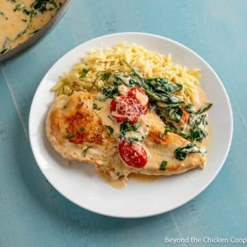 Creamy Tuscan Chicken with spinach and tomatoes on a white plate.