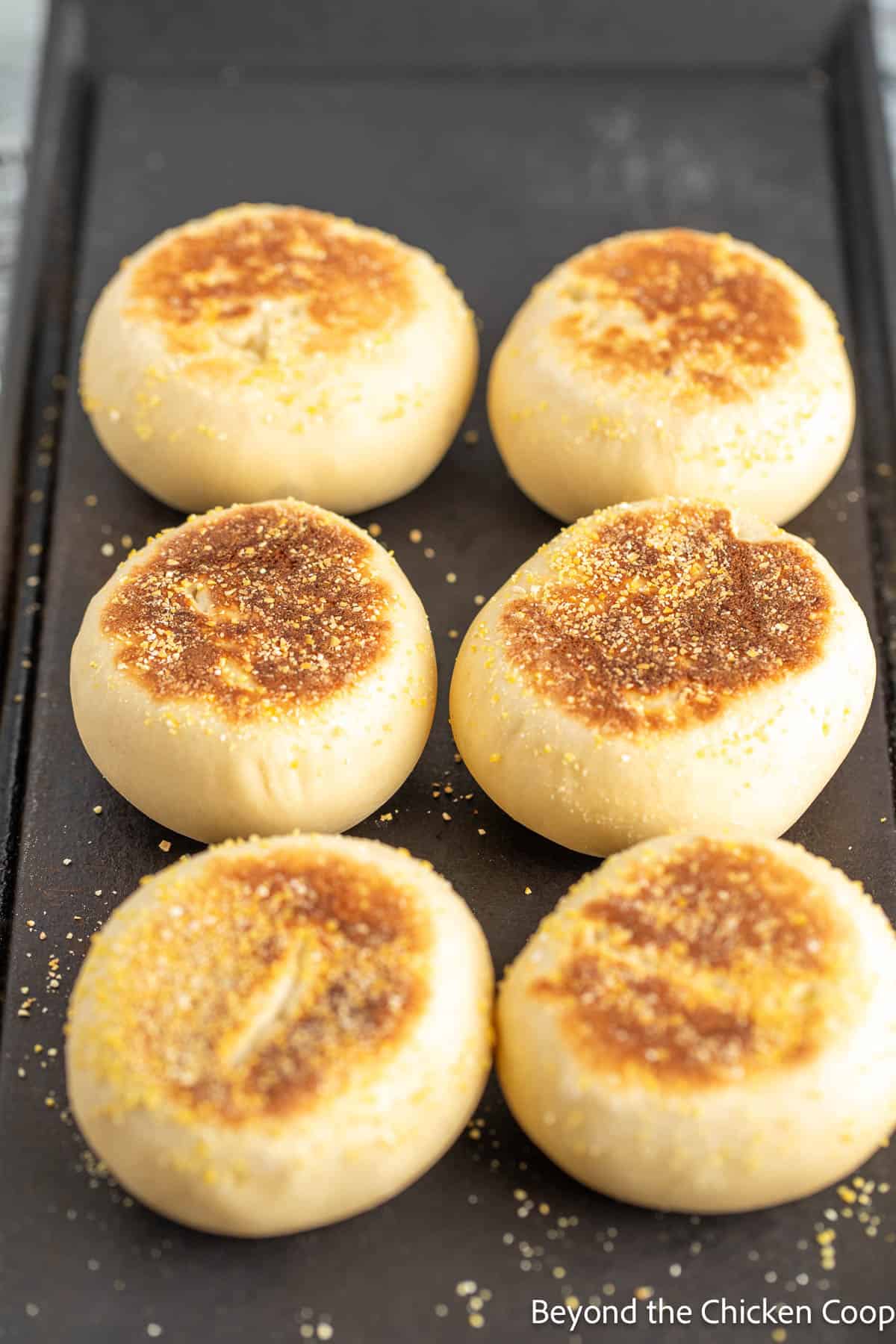 Cooking English muffins on a cast iron griddle.