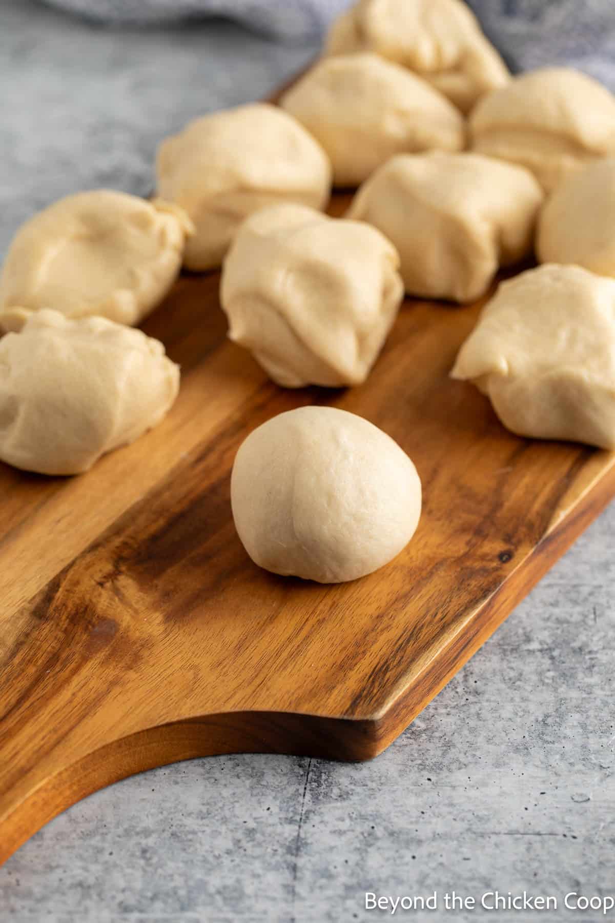 Shaping English muffin dough. 