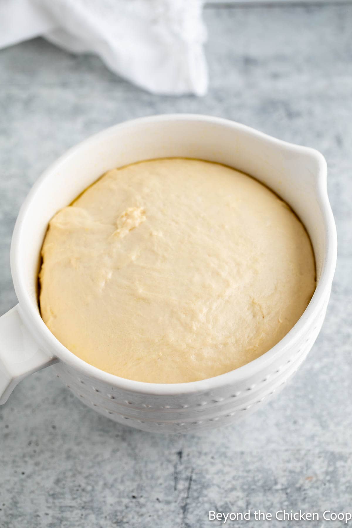 Risen bread dough in a bowl. 