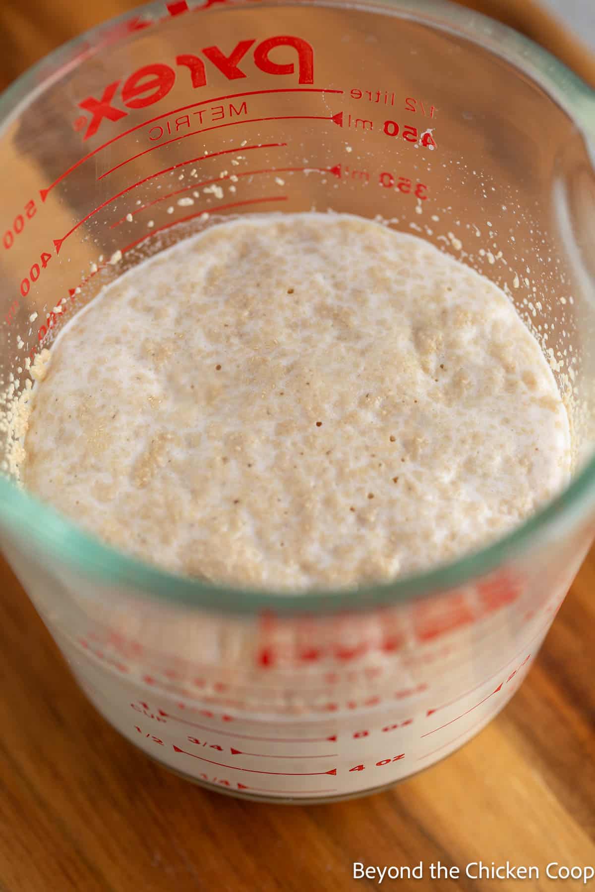 Proofed yeast in a glass measuring cup. 