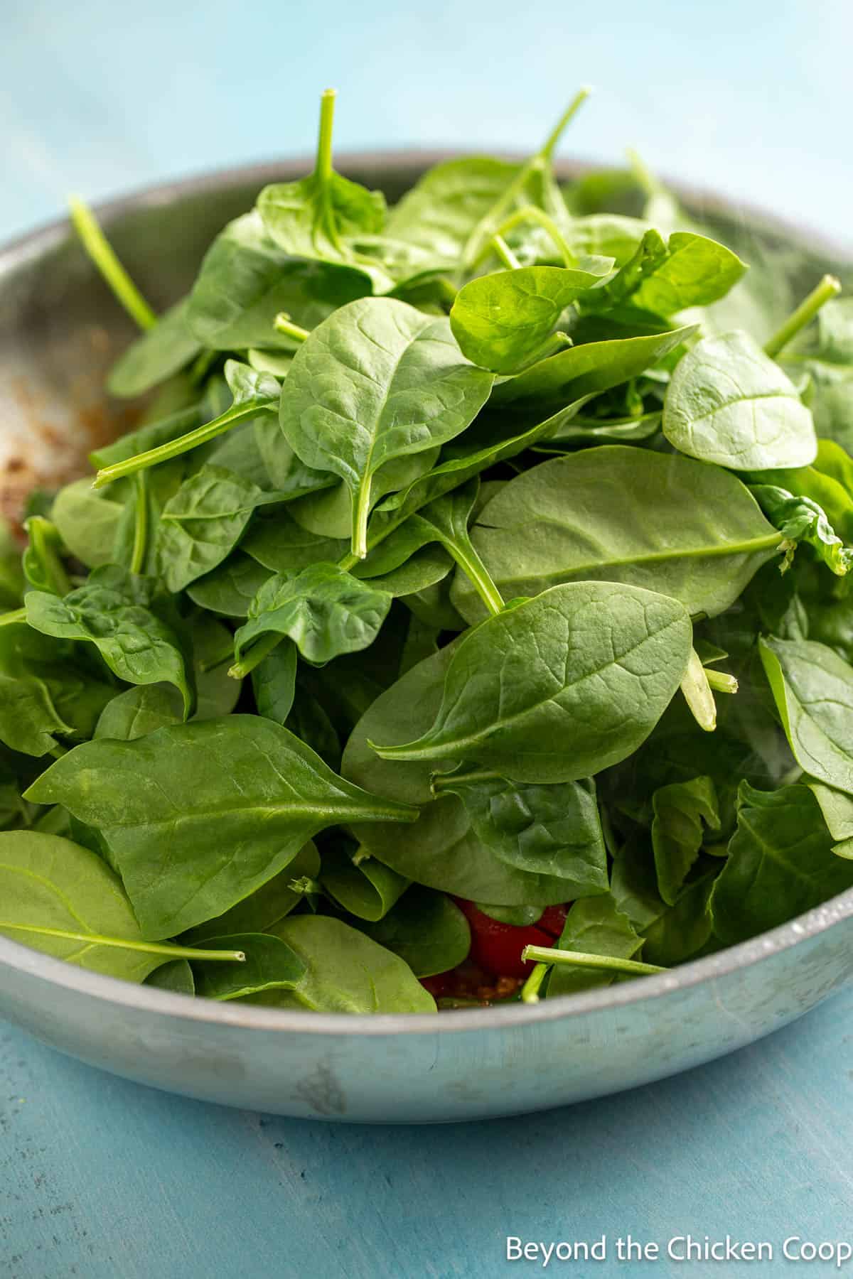 Fresh spinach in a frying pan. 