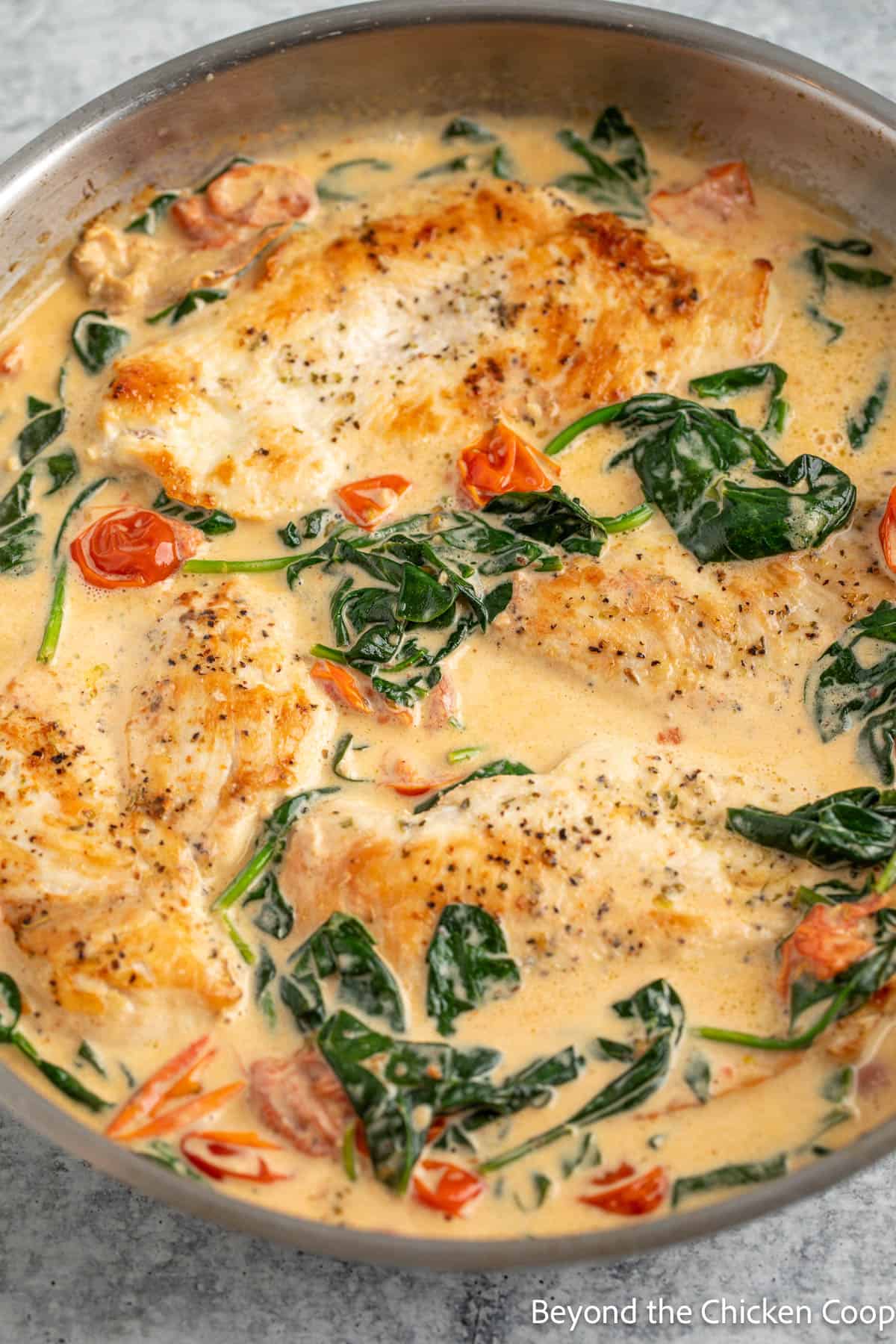 Tuscan chicken with tomatoes, spinach and a creamy sauce. 