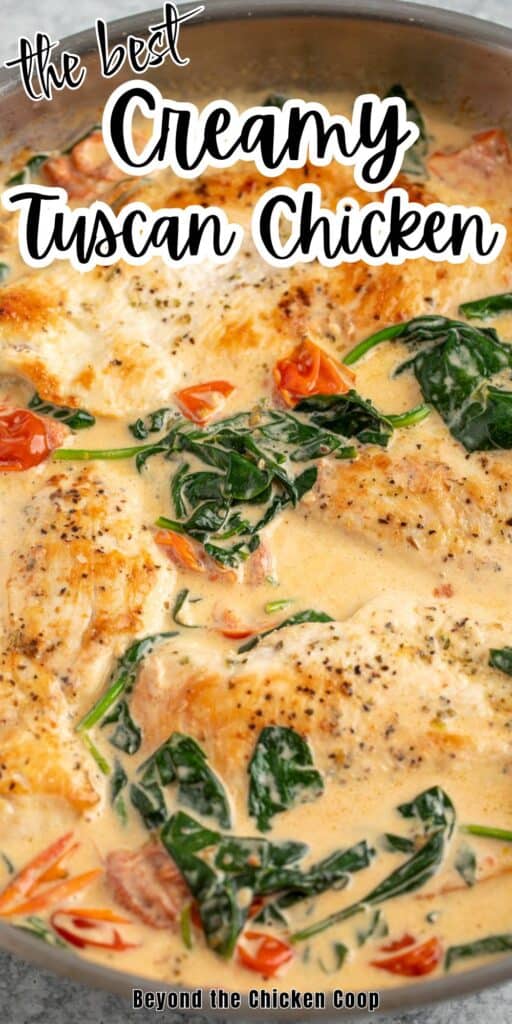 Tuscan chicken in a creamy sauce with spinach and tomatoes.