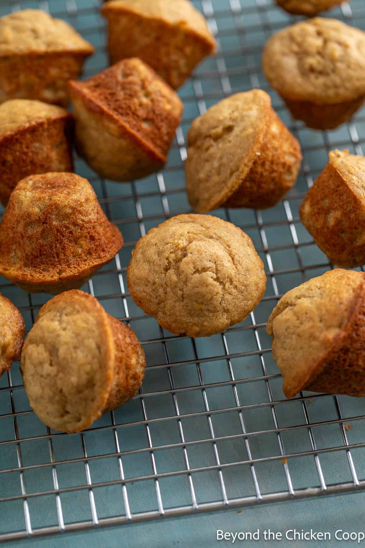 Mini muffins on a baking rack. 