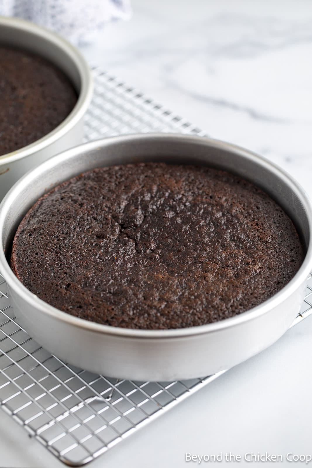 Baked chocolate cake in the pan. 