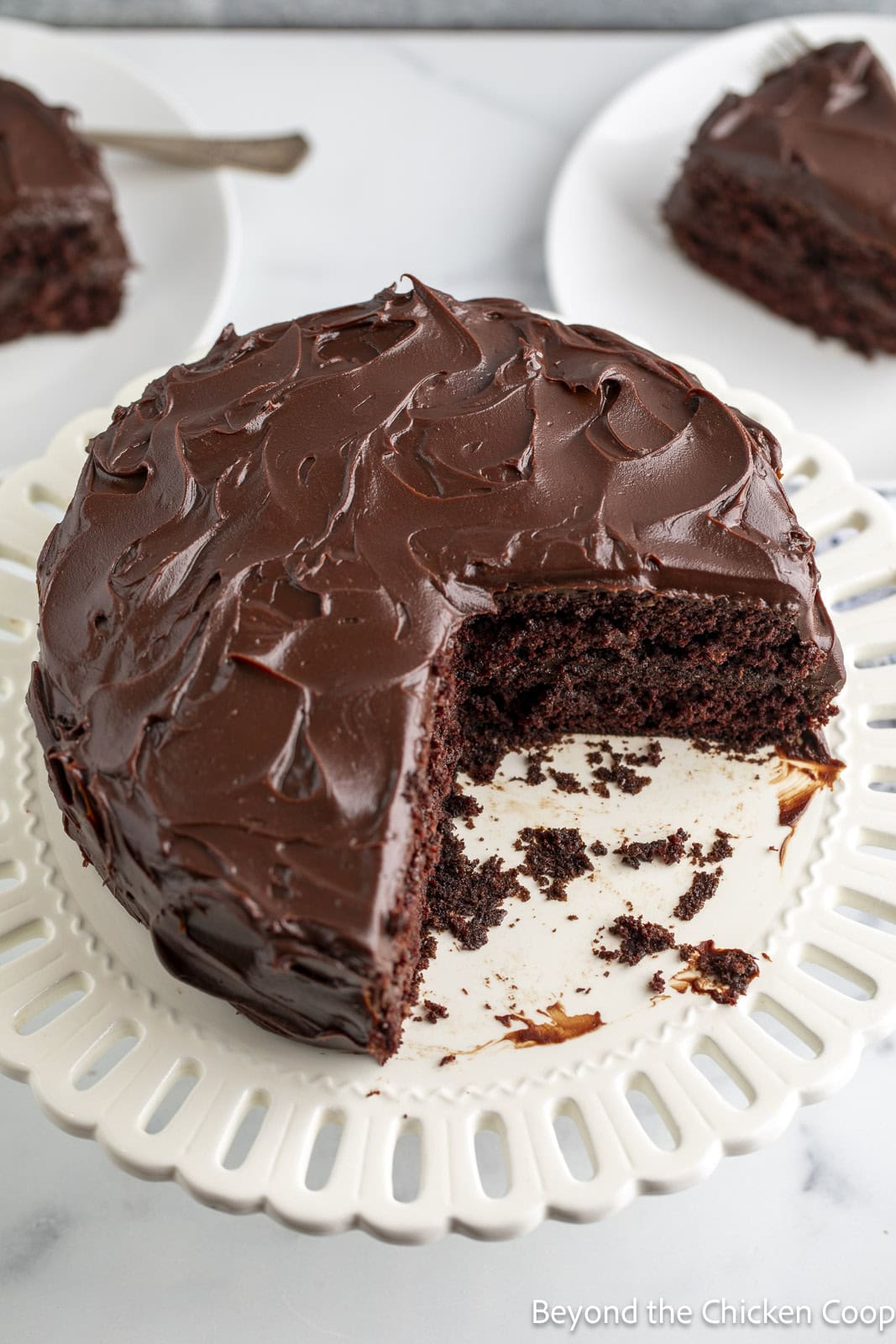 Two layer chocolate cake on a white cake stand. 
