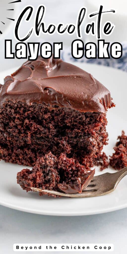 A slice of a two layer cake with chocolate frosting.