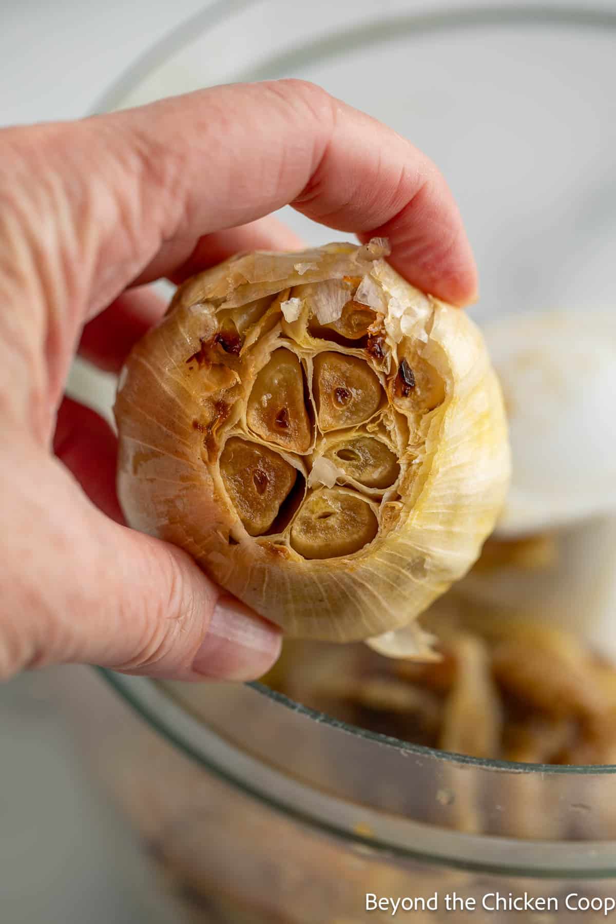 Roasted garlic with the top of the head cut off.