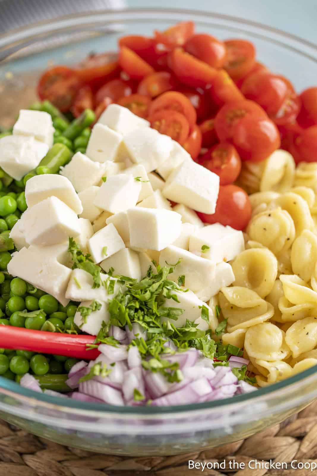 A large glass bowl filled with pasta, chopped tomatoes, chopped red onions, mozzarella cheese, and chopped asparagus. 