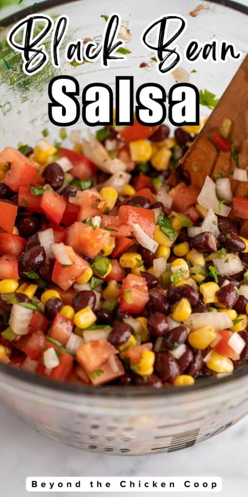 A bowl filled with black bean and corn salsa.