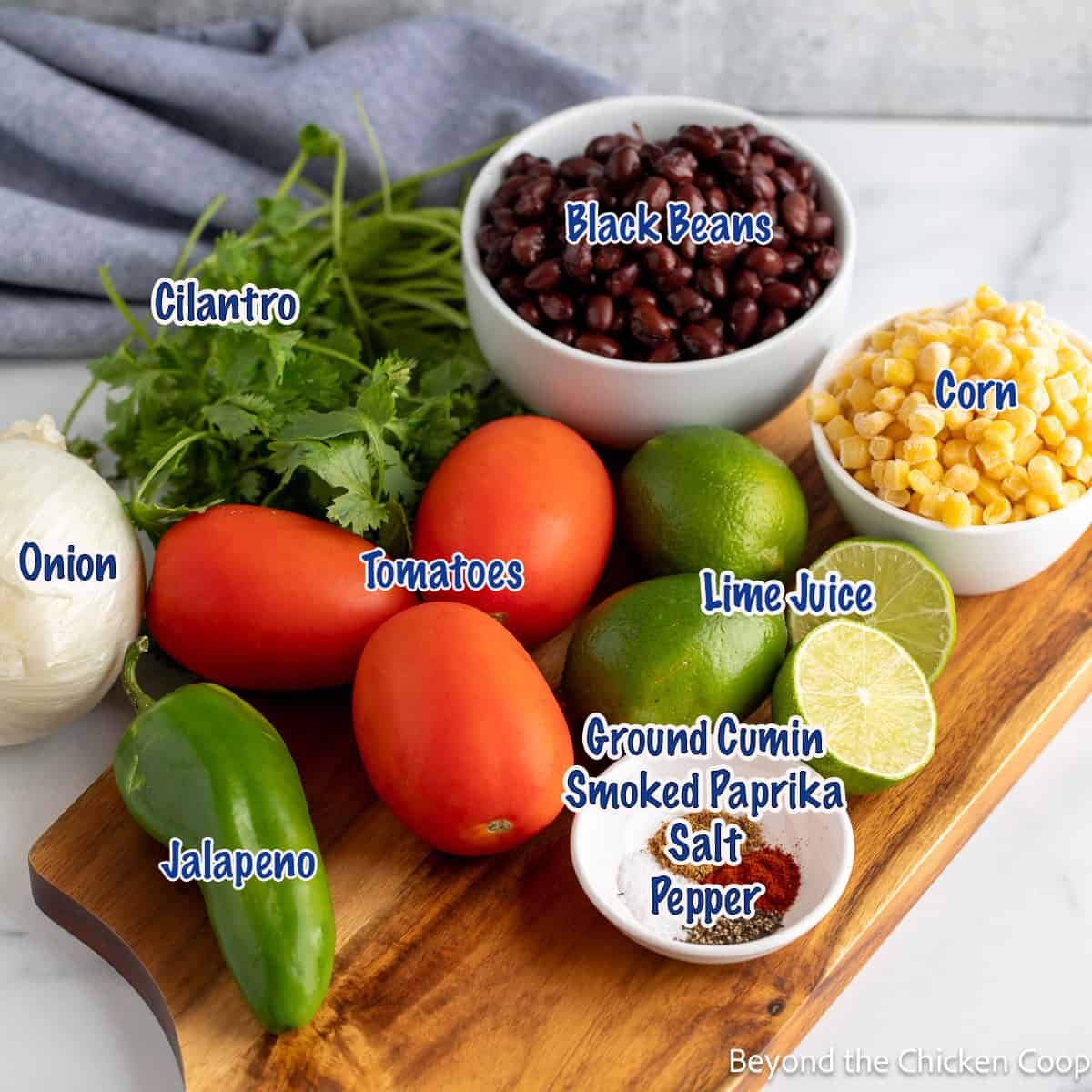 Tomatoes, onion, jalapeno, cilantro, limes and other ingredients on a wooden board.