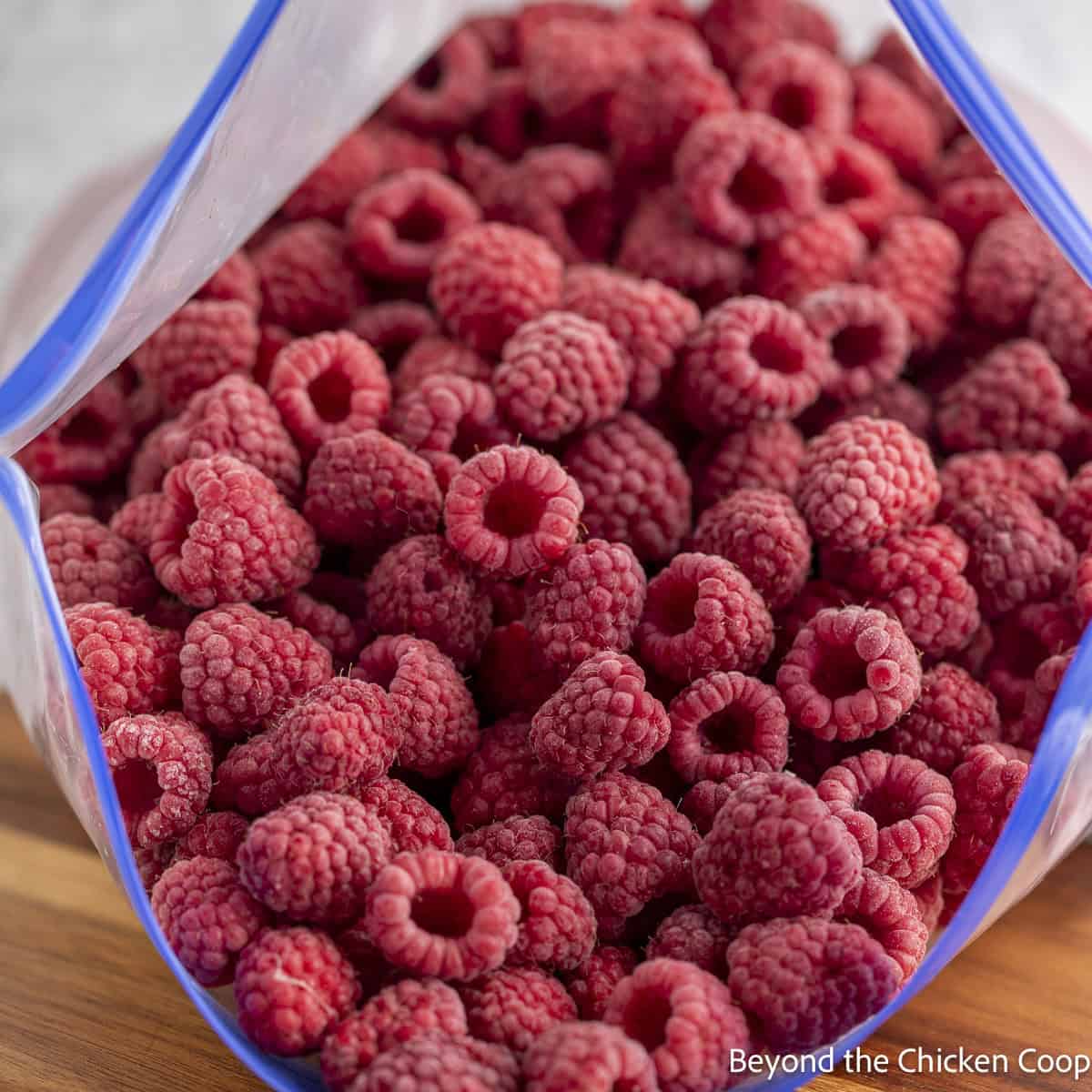 A bagful of frozen raspberries.
