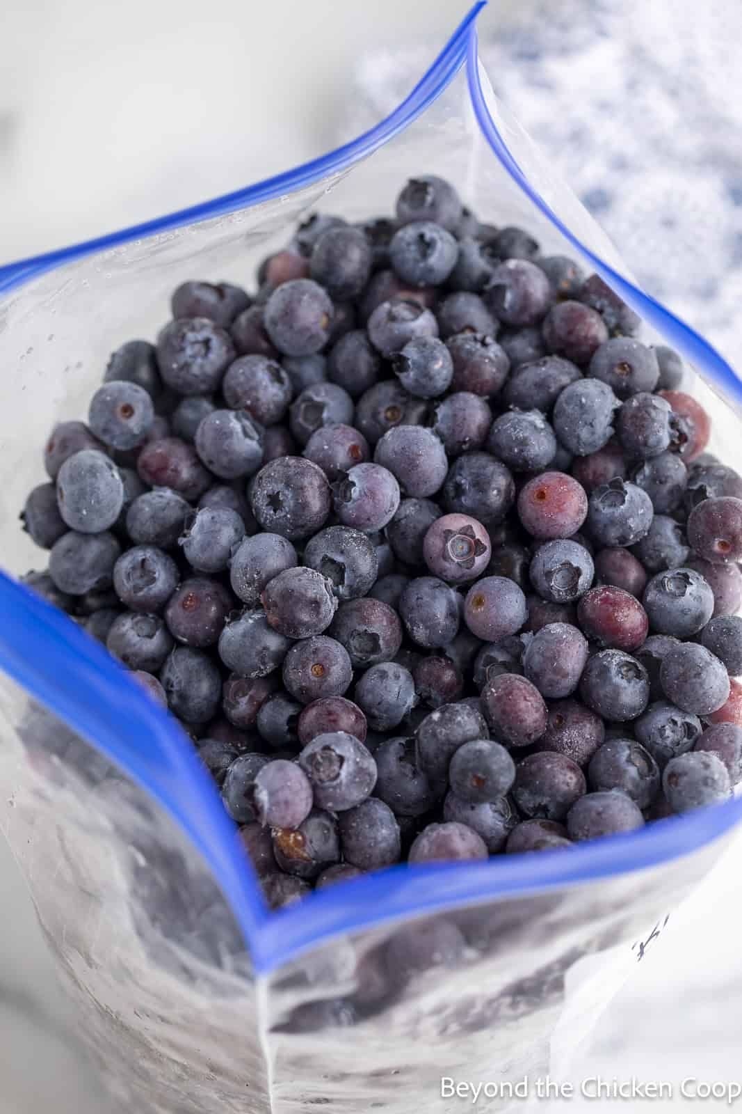Frozen blueberries in a gallon freezer bag. 
