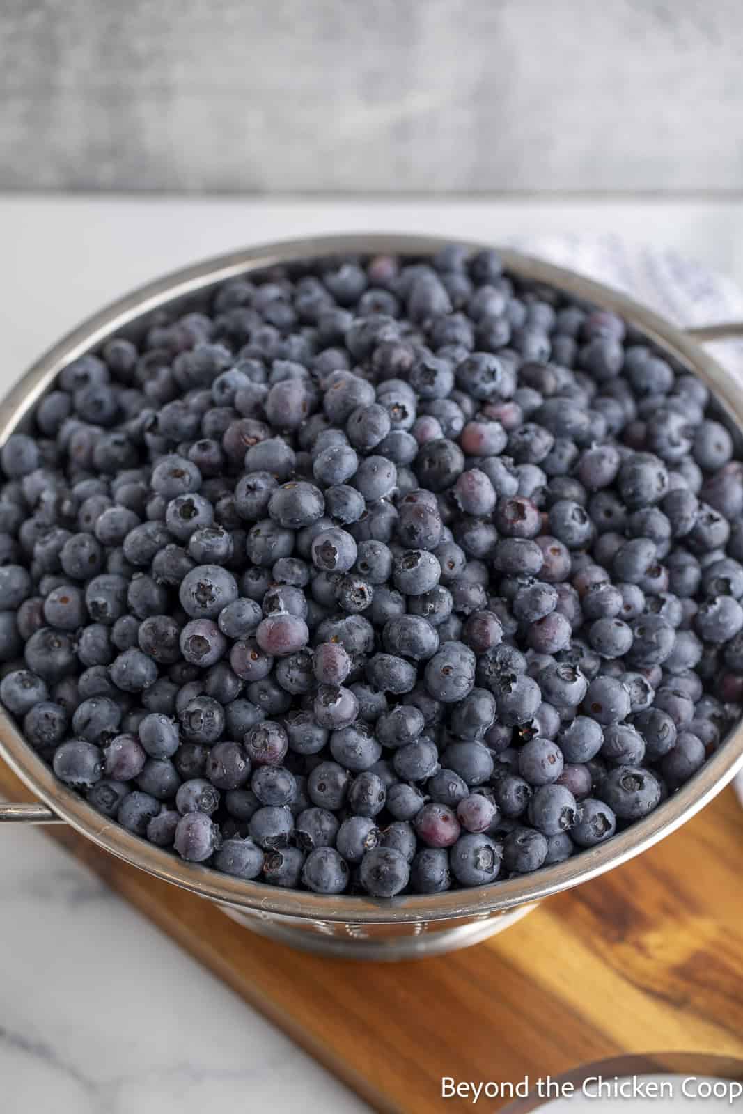 Fresh blueberries in a large metal colandar. 