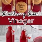 Bottles filled with red vinegar.