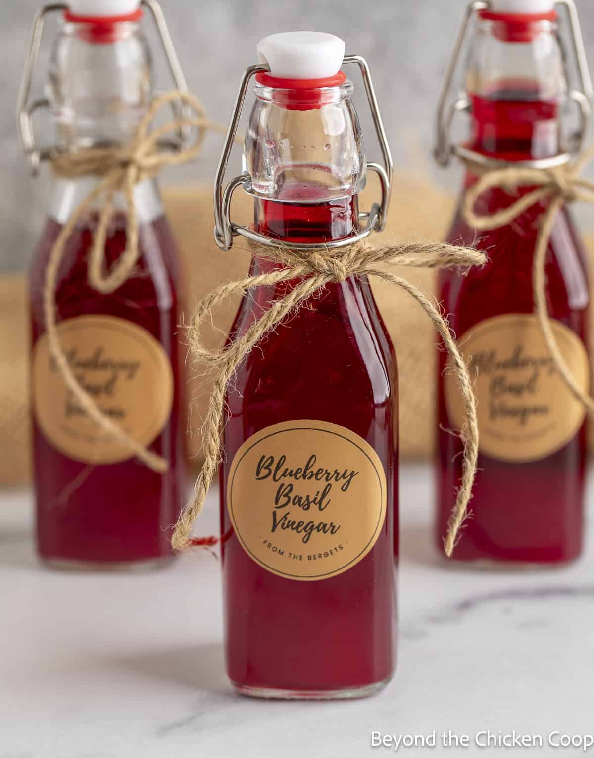 Jars of Blueberry Basil Vinegar tied with string.