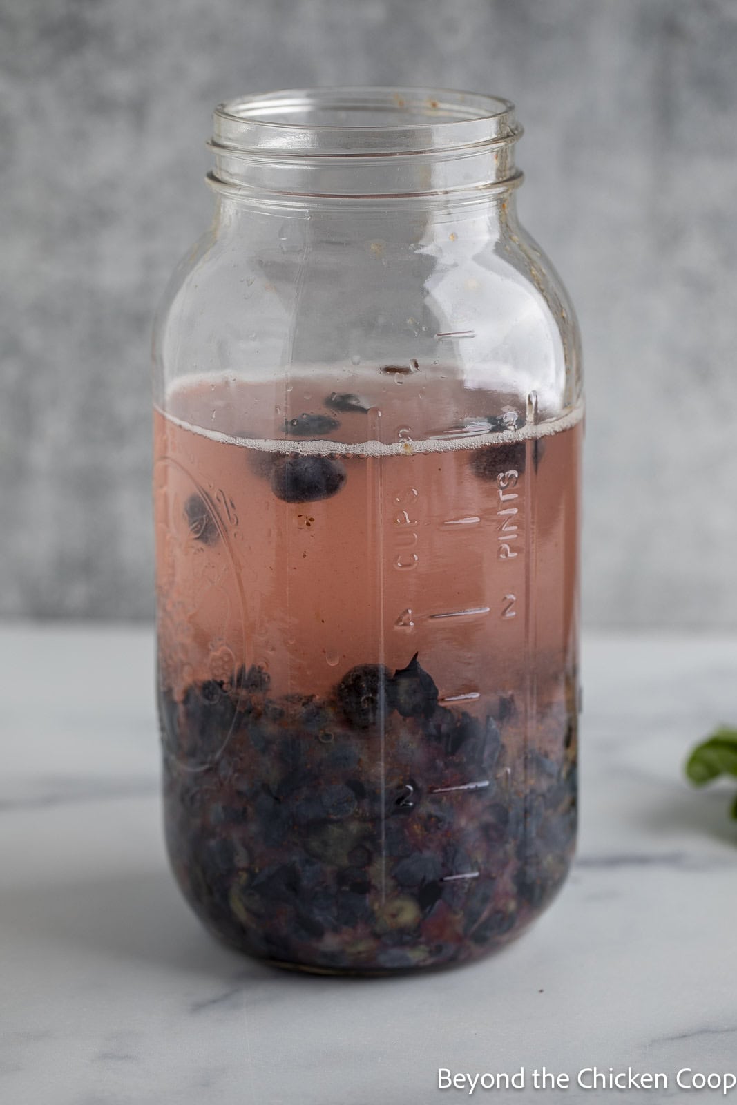 Vinegar in a jar with mashed blueberries. 