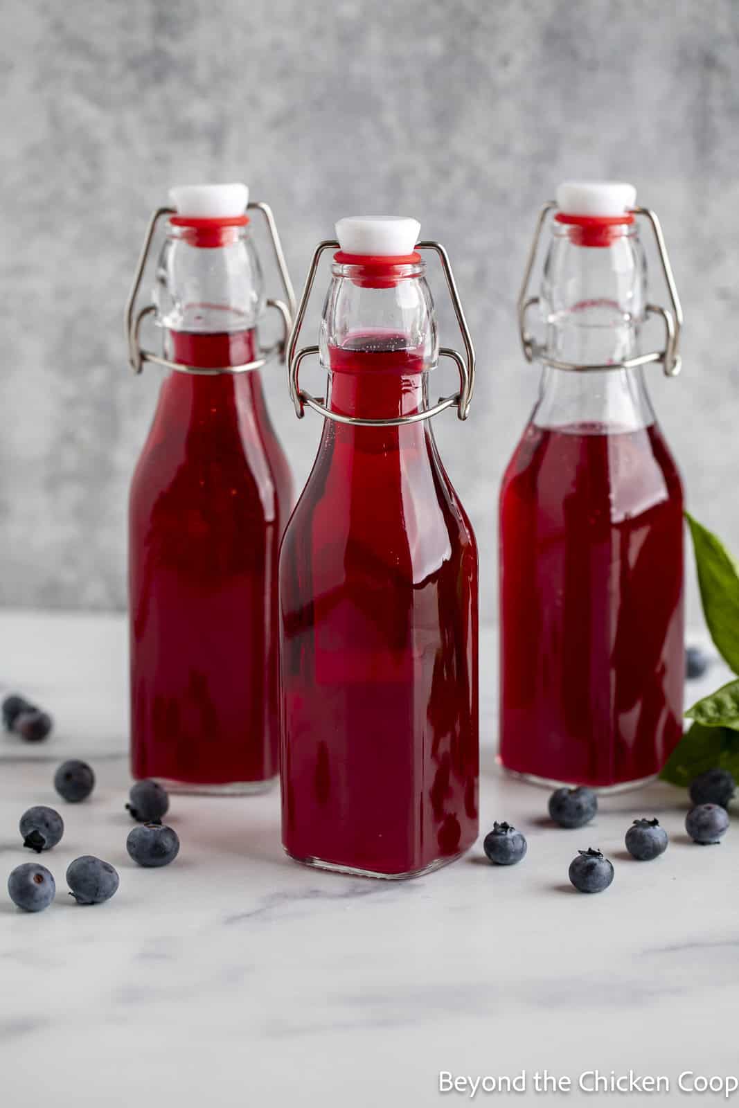 Basil and Blueberry Vinegar in glass jars with lids. 