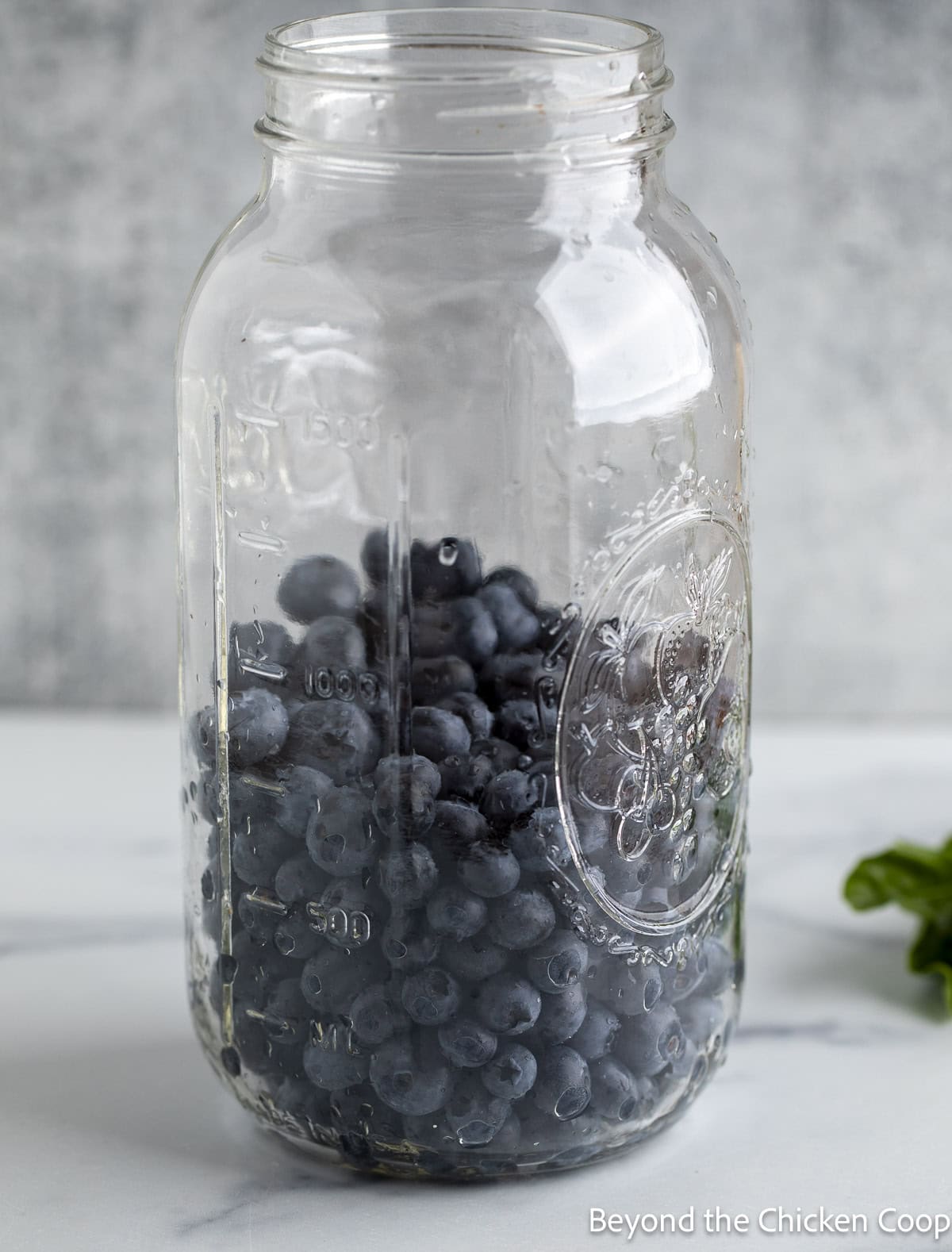 Blueberries in a large canning jar. 