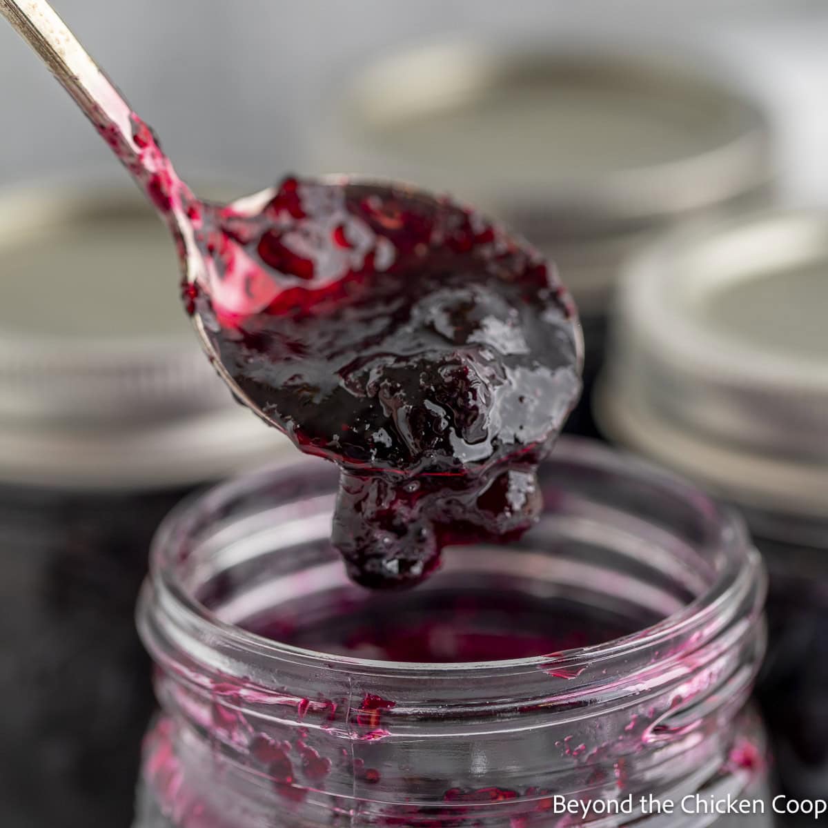A spoonful of homemade blueberry jam dripping into a jar. 