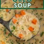 Chicken soup with carrots, orzo pasta, and fresh parsley in a soup pot.