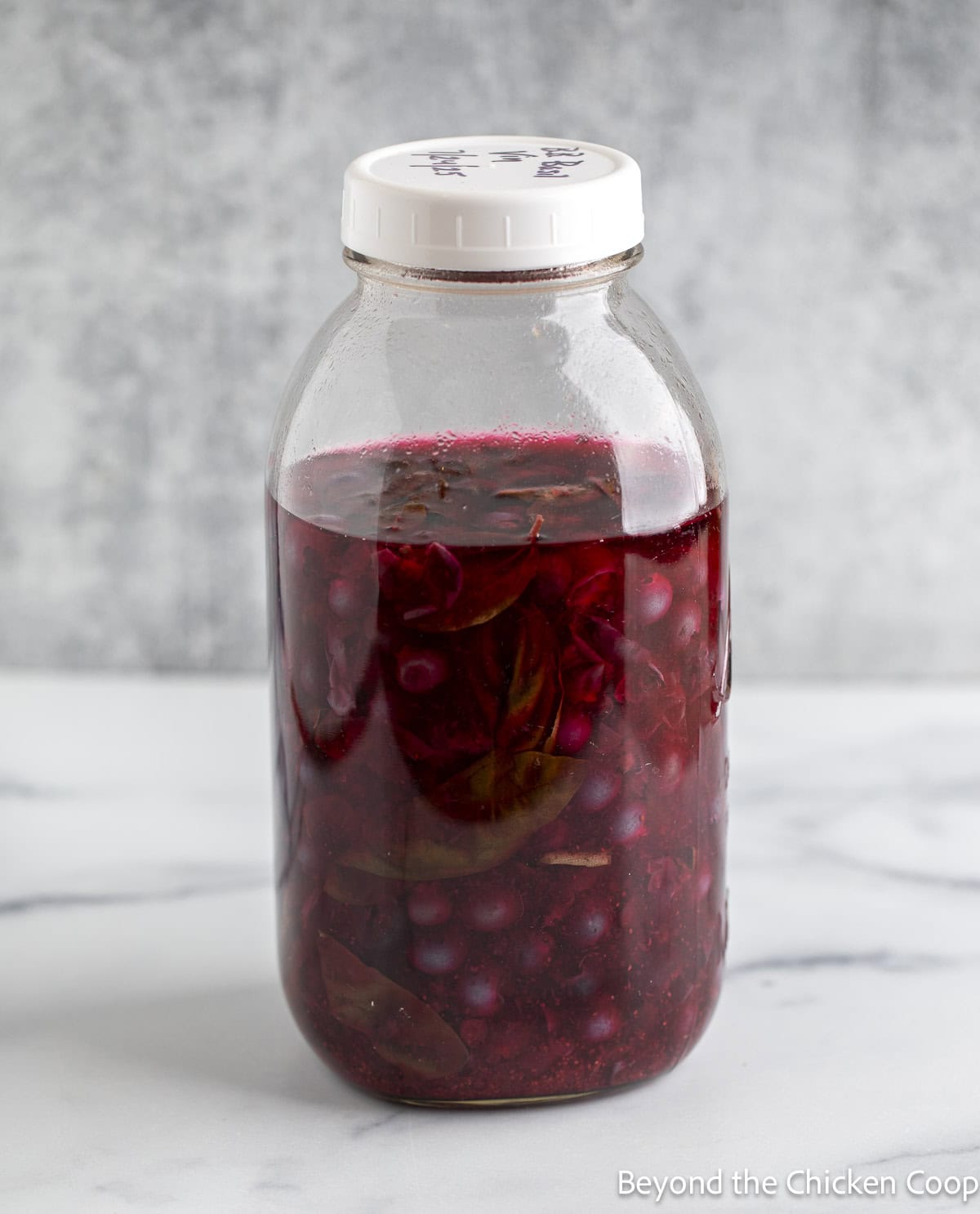 Berry vinegar in a large glass jar. 