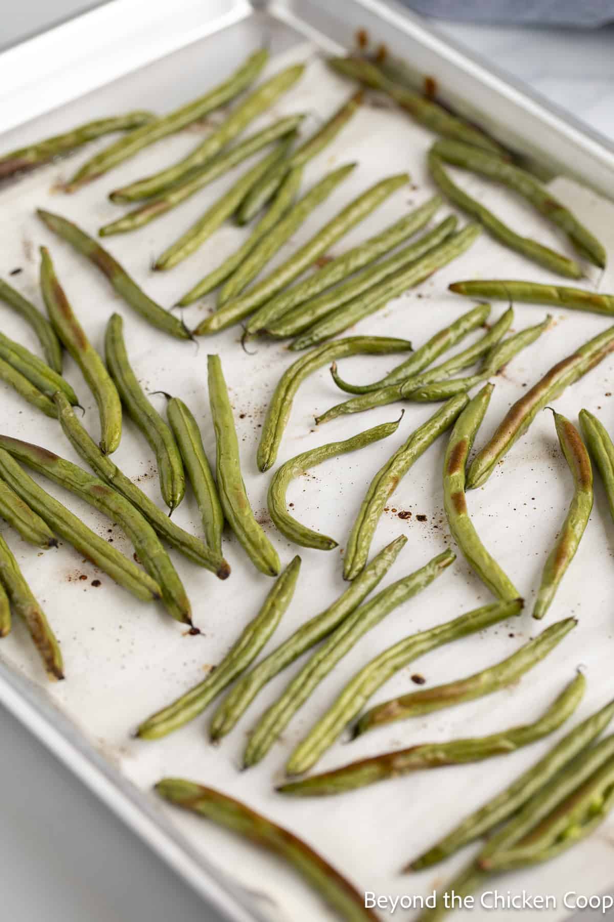 Cooked green beans on a baking sheet. 