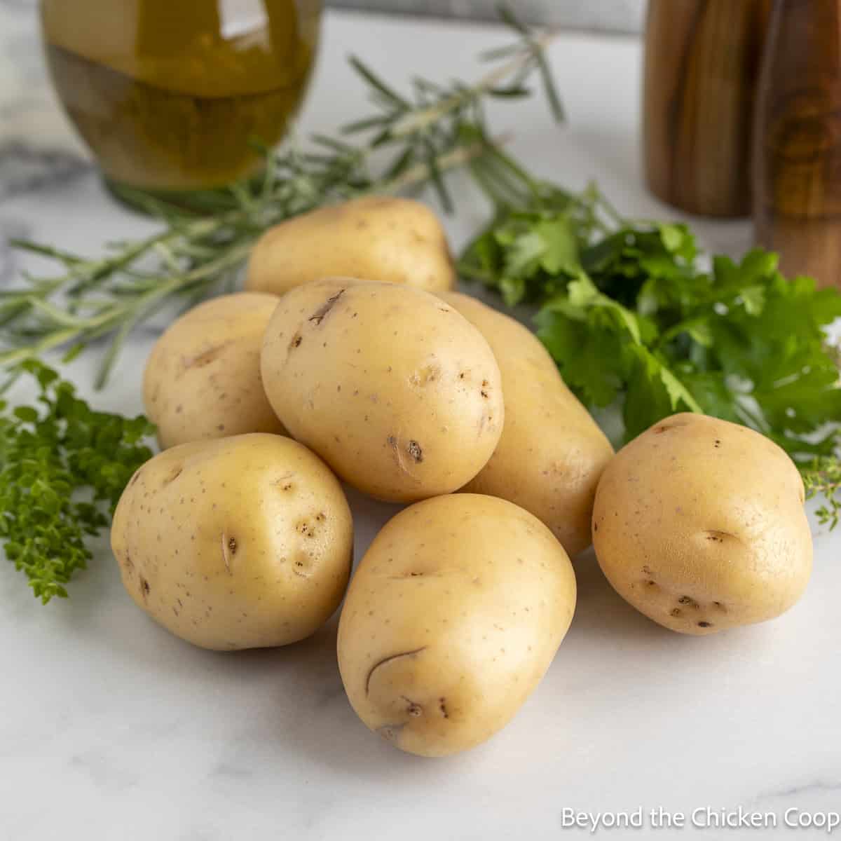 Yukon potatoes next to fresh herbs.