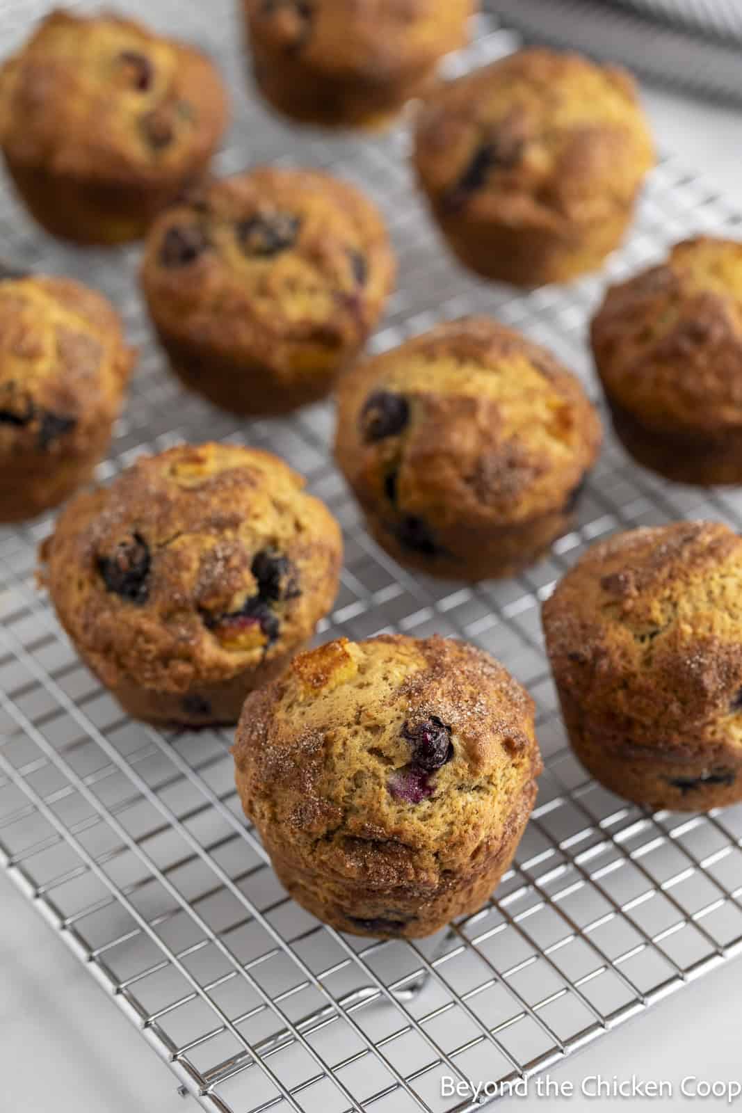 Muffins cooling on a baking rack.